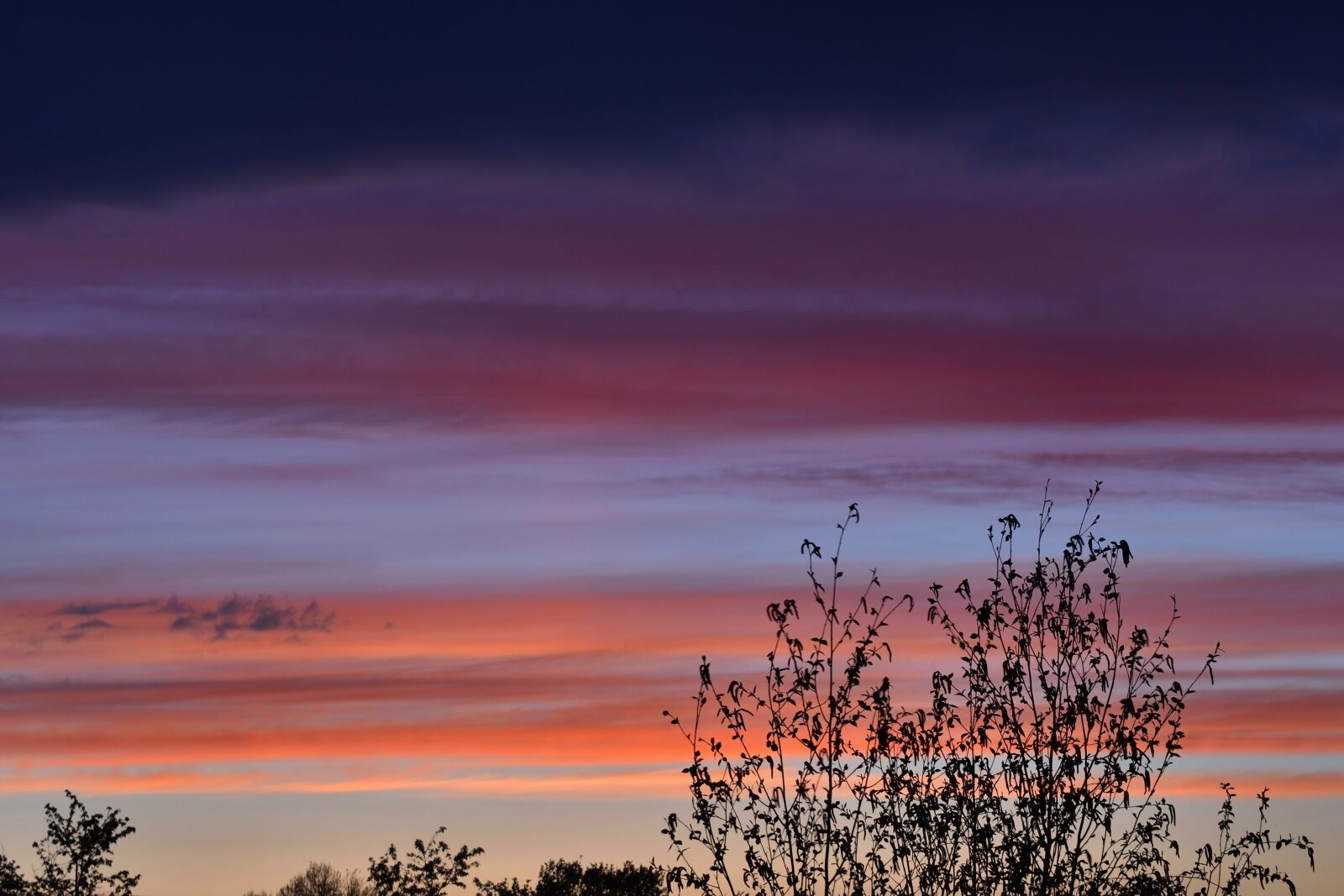 Nikon D5500 sample photo. Sunset, sky, clouds photography