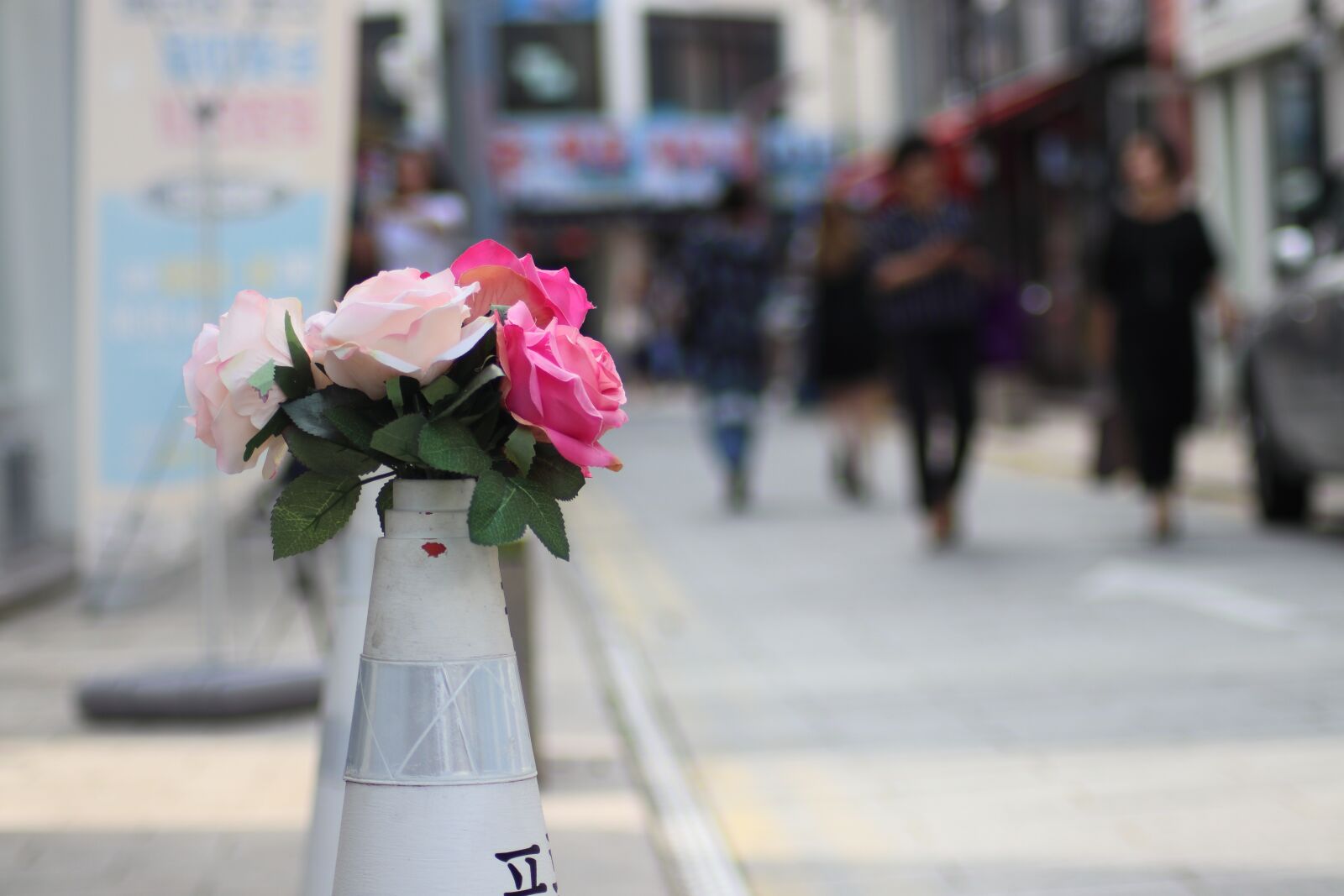 Canon EOS 800D (EOS Rebel T7i / EOS Kiss X9i) sample photo. Interior, tourism, flowers photography