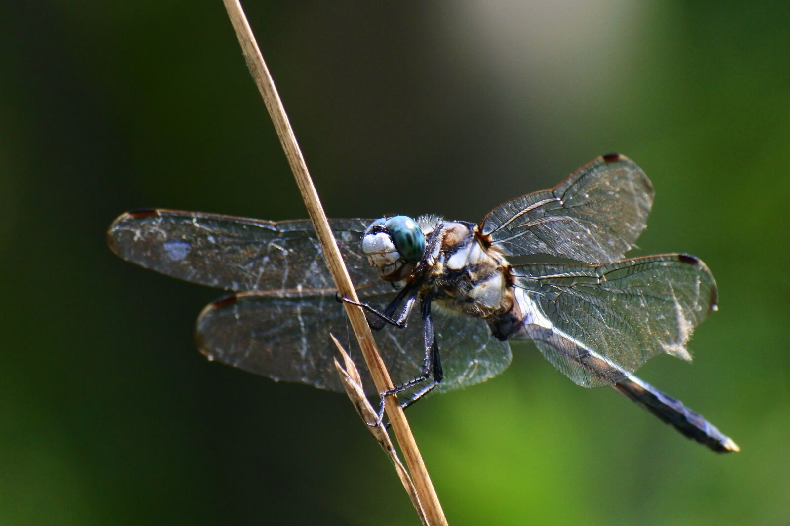 VR 70-300mm f/4.5-6.3G sample photo. Natural, landscape, sunbeams photography