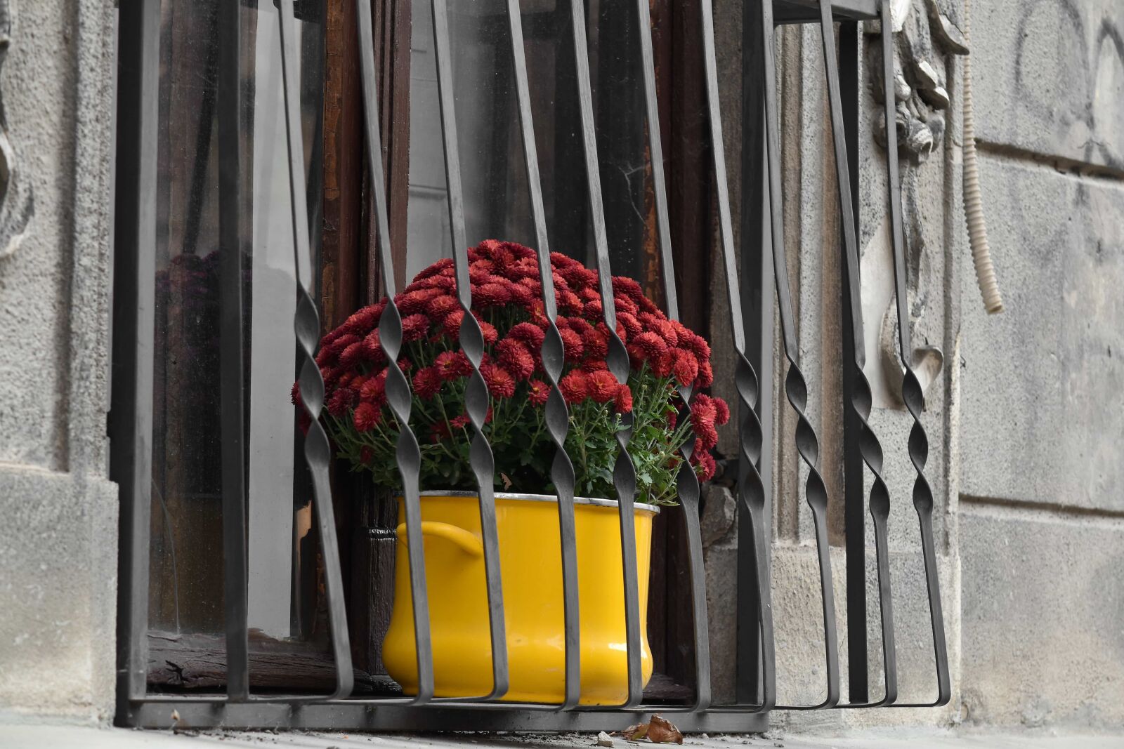 Nikon D5500 sample photo. Decoration, facade, fence, flowerpot photography