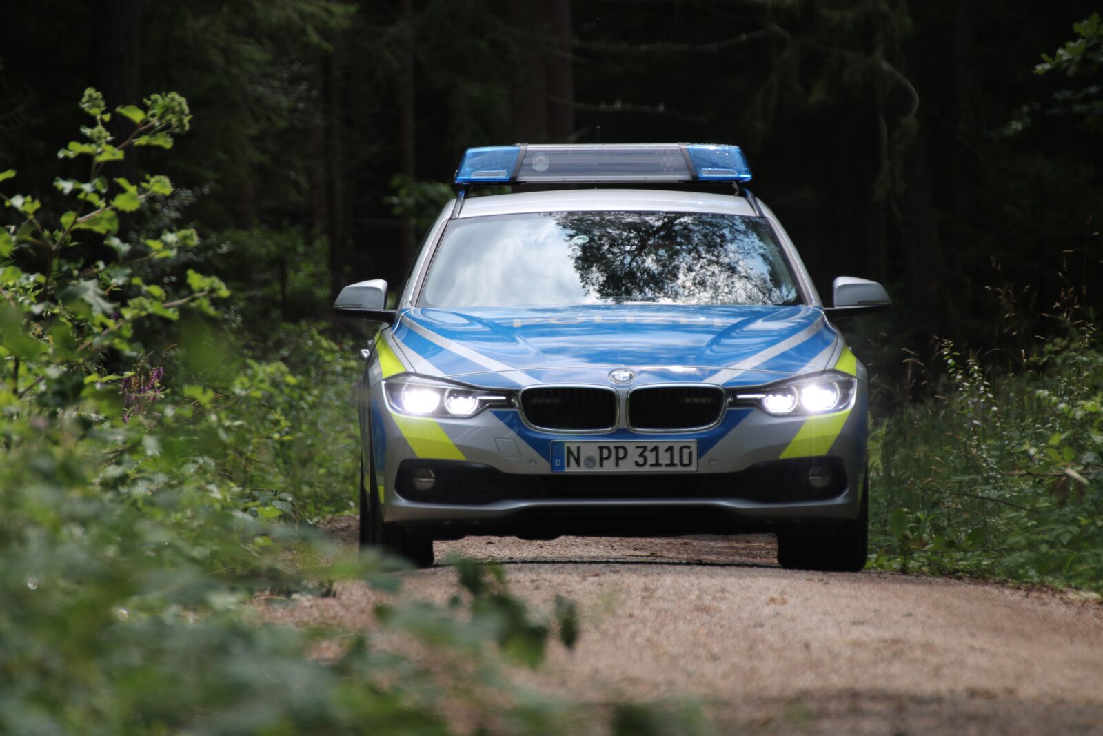 Canon EOS 750D (EOS Rebel T6i / EOS Kiss X8i) sample photo. Police, forest, nature photography