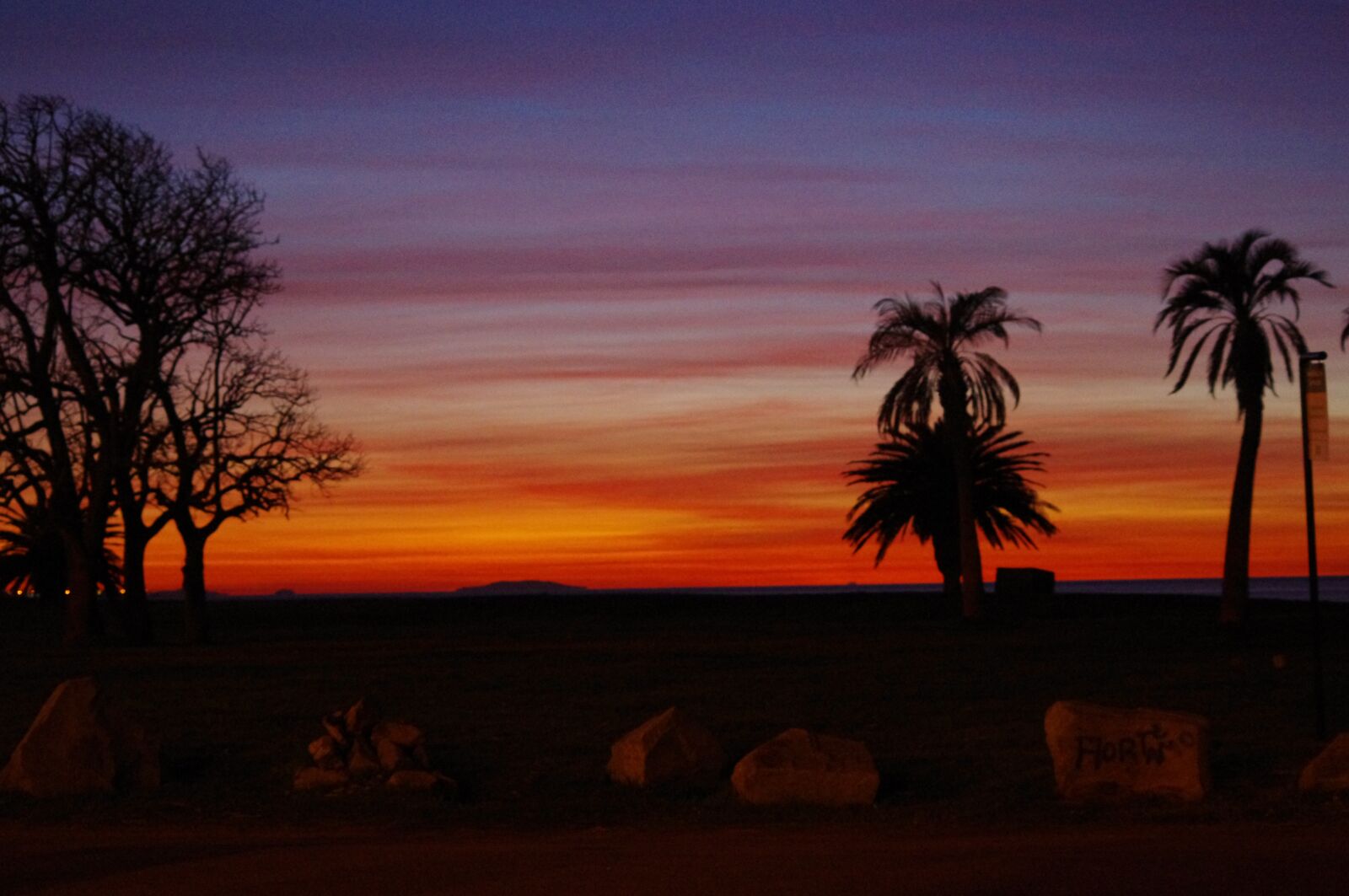 Pentax K-r sample photo. Palms, sunset, palm trees photography
