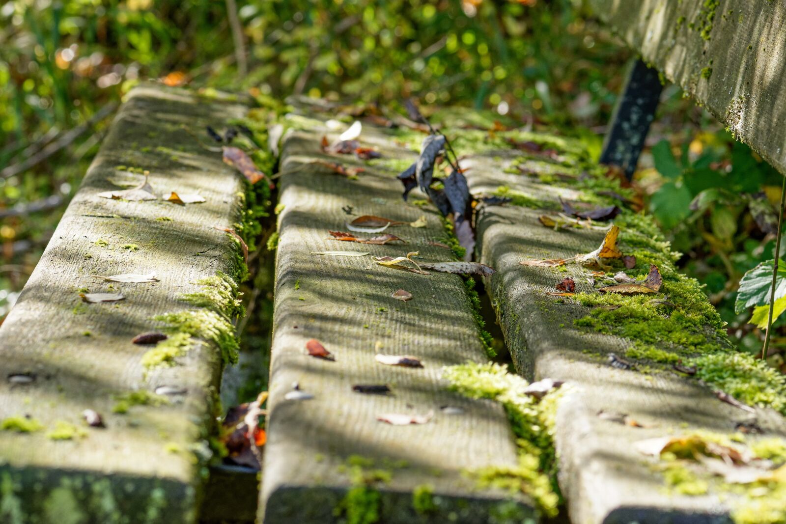 Nikon D7200 sample photo. Bank, sit, rest photography