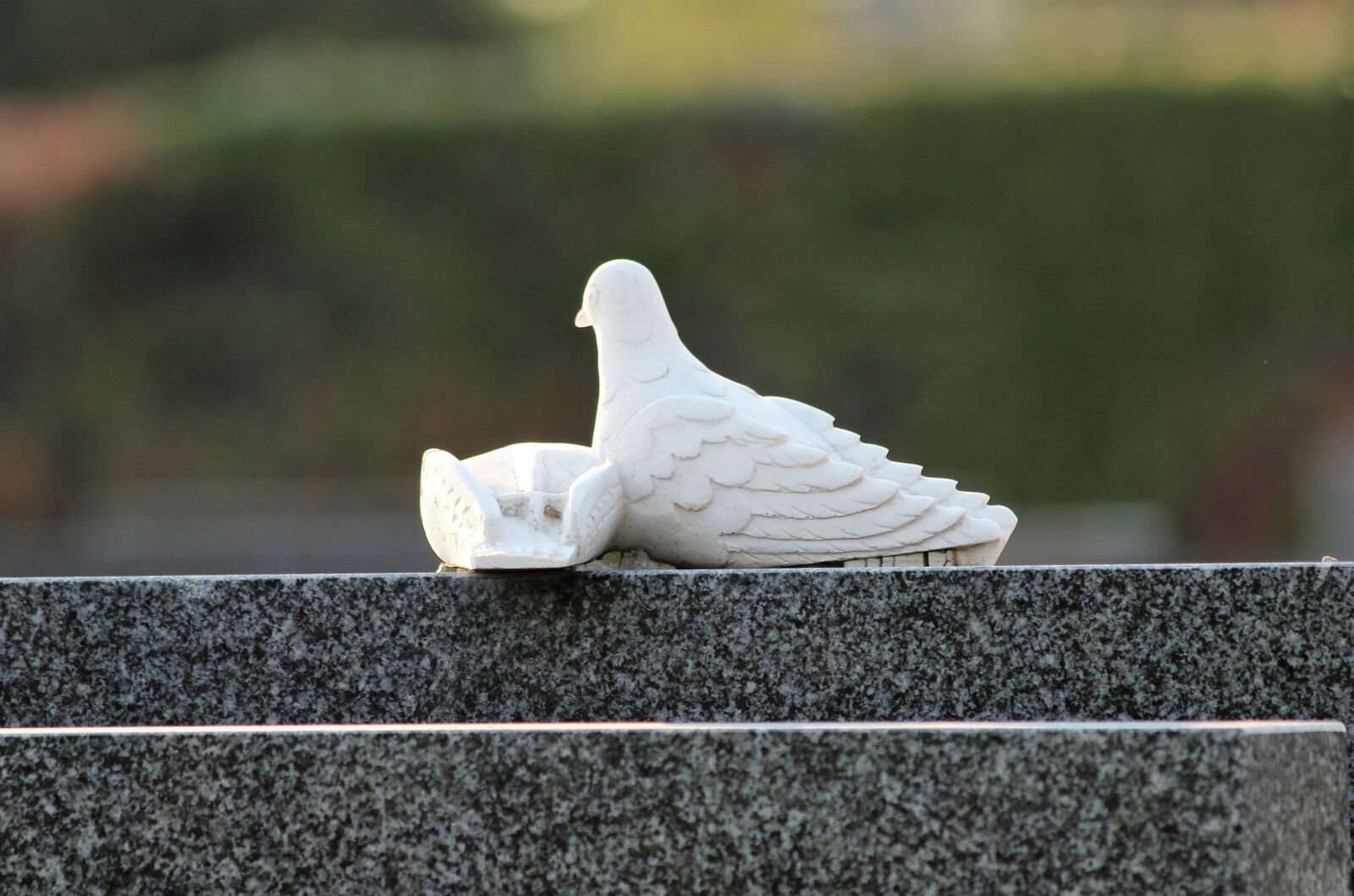 Canon EOS 600D (Rebel EOS T3i / EOS Kiss X5) + Canon EF 70-300mm F4-5.6 IS USM sample photo. White doves, monument, gravestone photography
