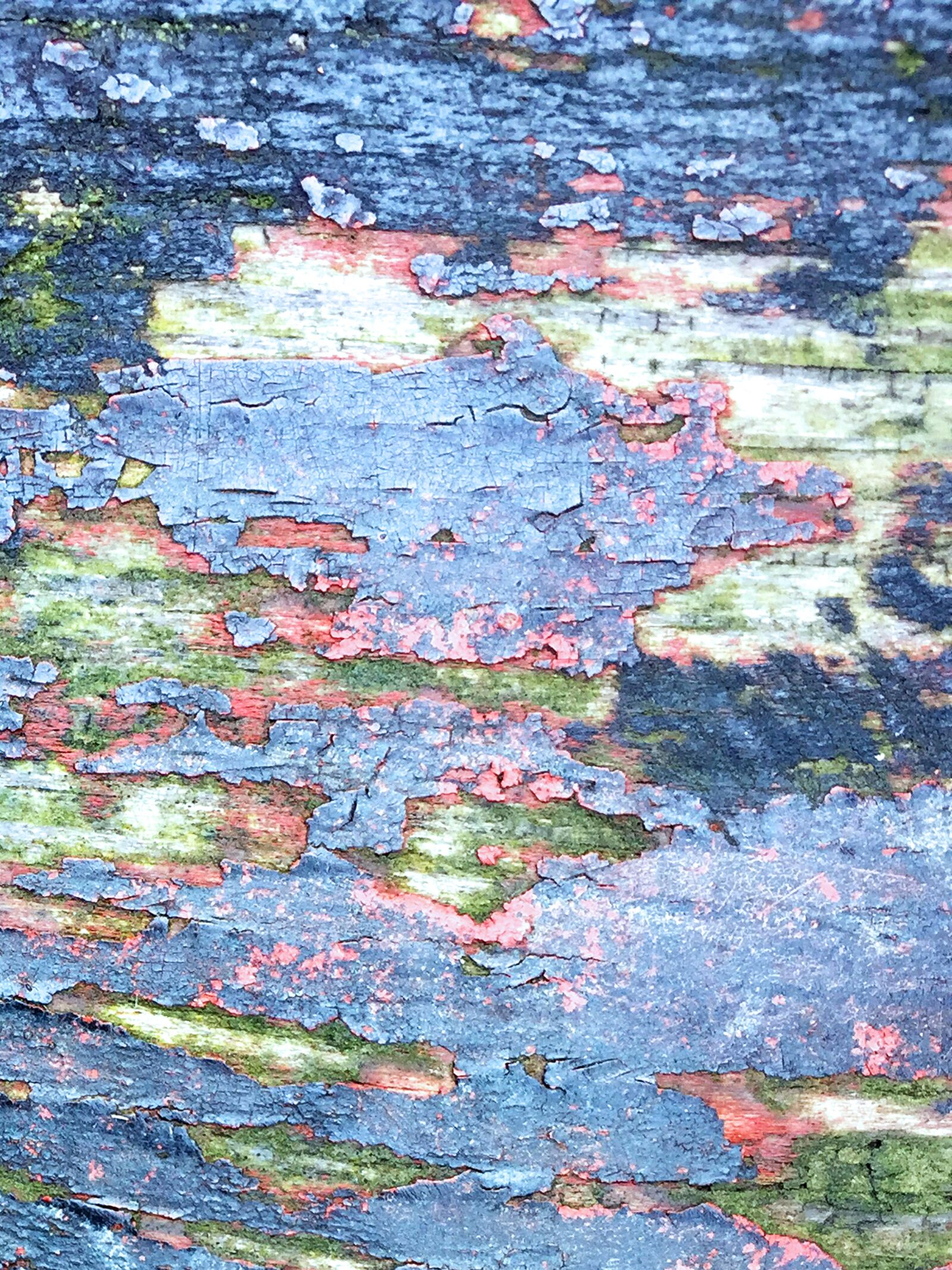 iPhone 6 back camera 4.15mm f/2.2 sample photo. Textured old paint, plank photography