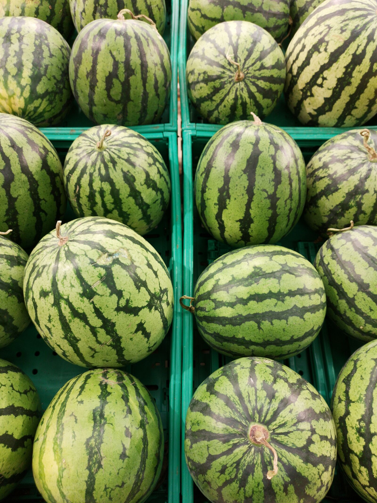 HUAWEI CLT-L09 sample photo. Watermelon, vegetable, fruit photography
