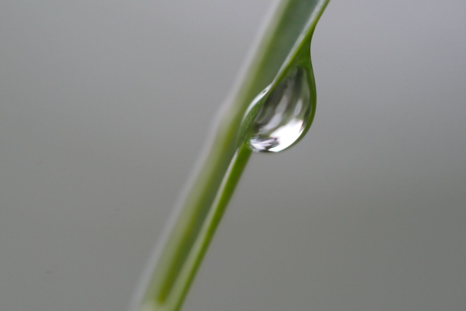 Panasonic Lumix DMC-GX8 sample photo. Water, water point, water photography