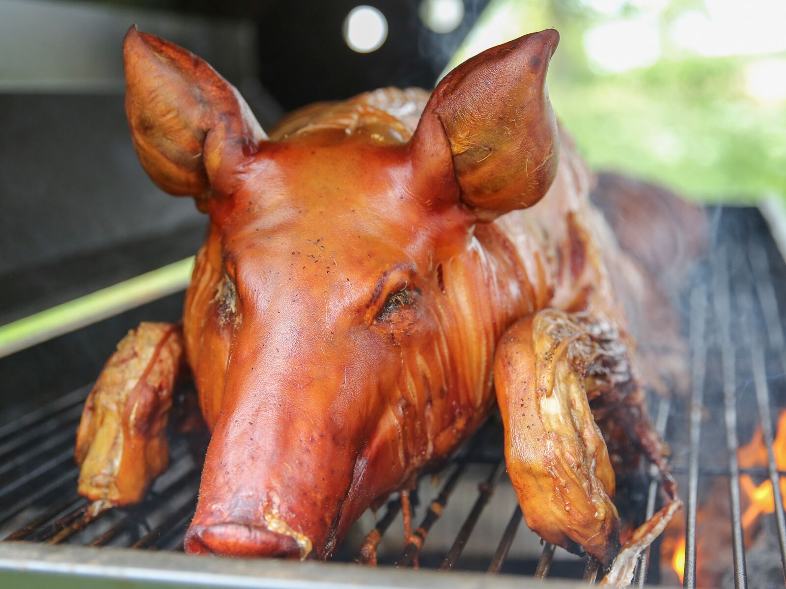 Canon EF 24-70mm F2.8L II USM sample photo. Grill, pig, food photography