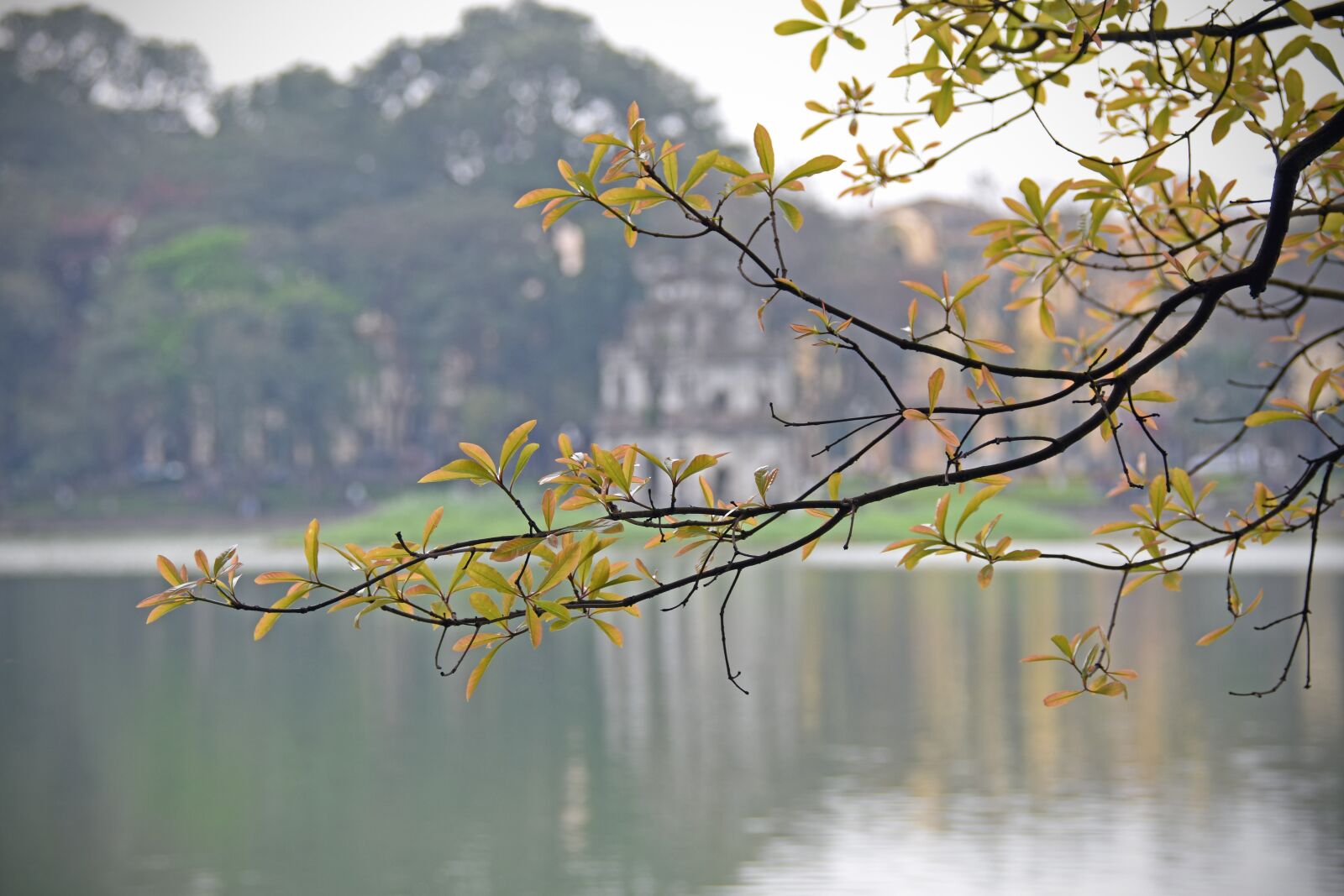 Nikon D7200 sample photo. Lake, turtle tower, hoan photography