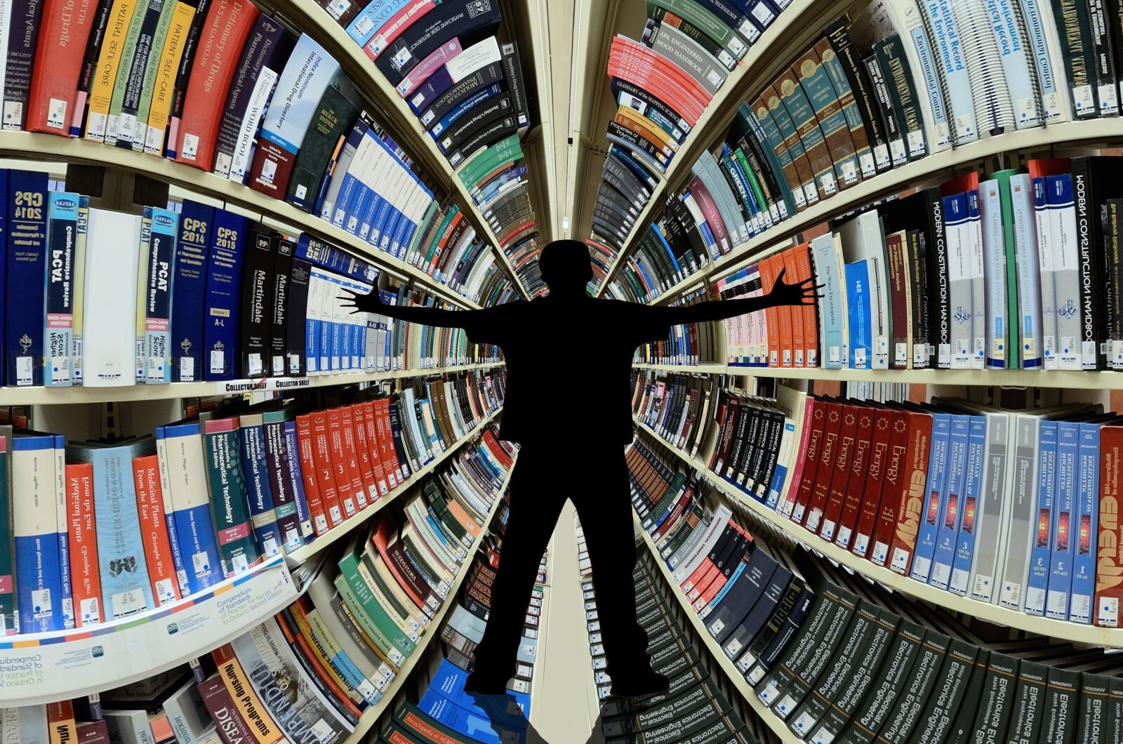 Nikon D5100 sample photo. Library, books, knowledge photography