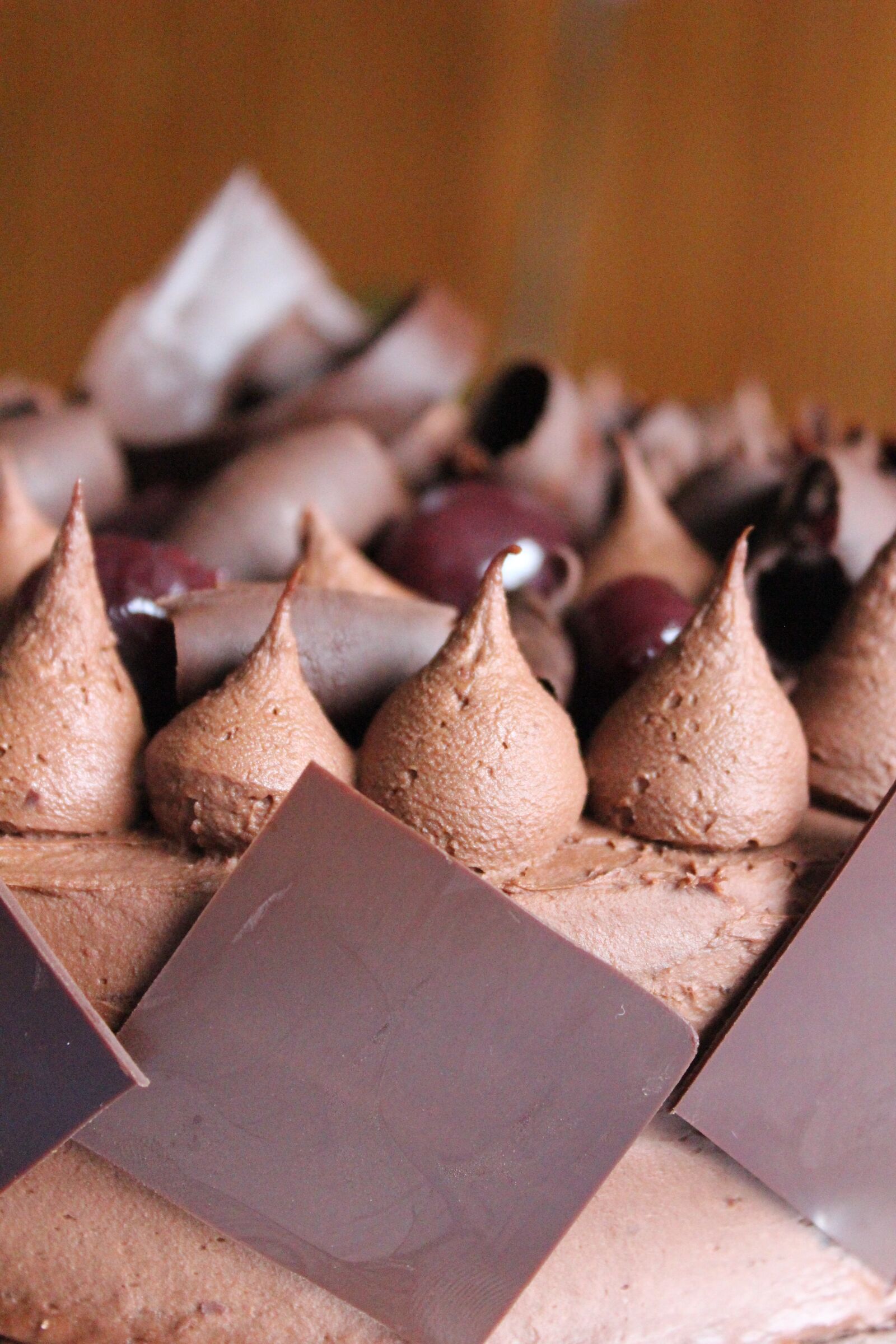 Canon EOS 600D (Rebel EOS T3i / EOS Kiss X5) sample photo. Chocolate, pastry, dessert photography