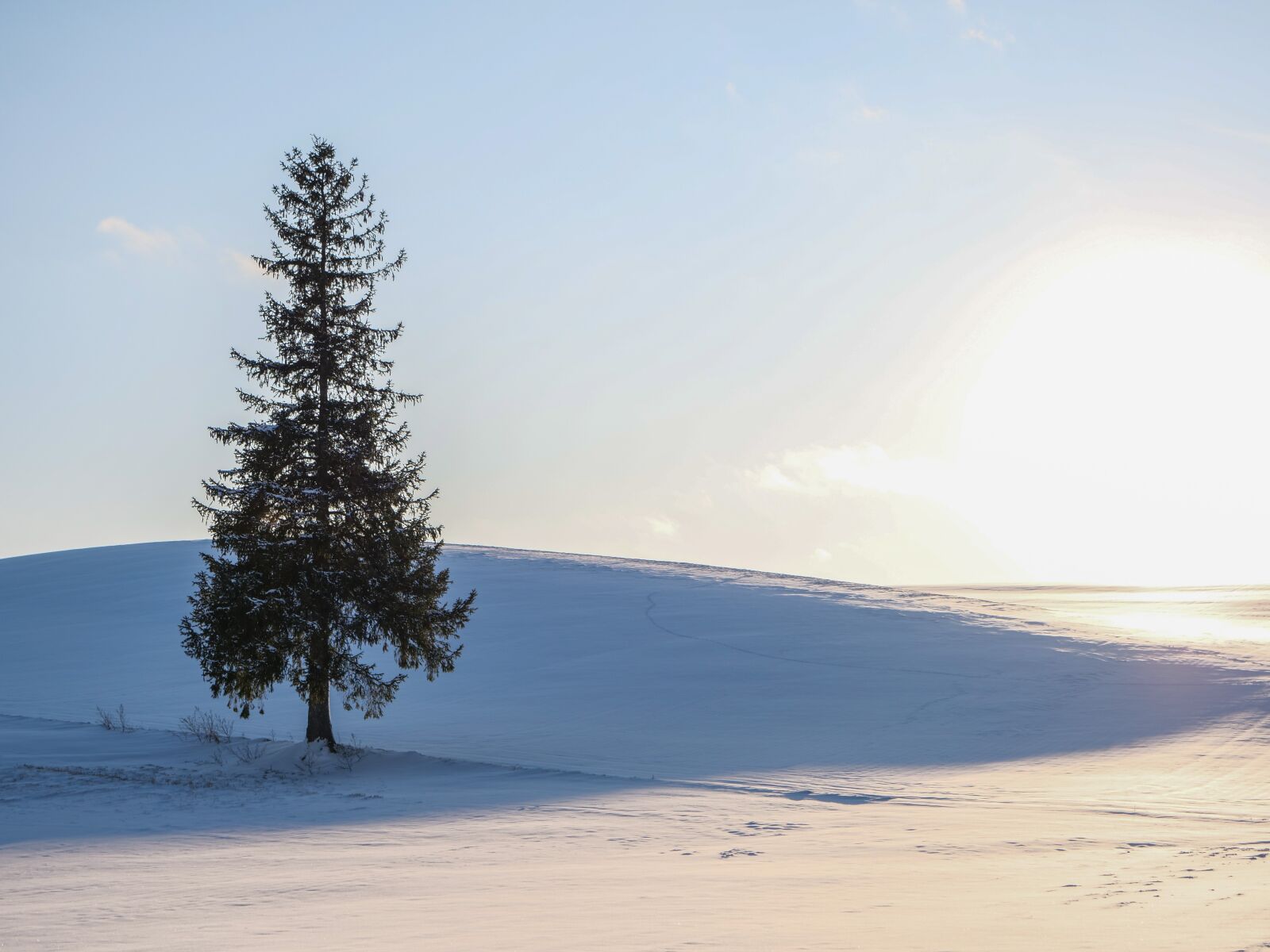 LEICA DG 12-60/F2.8-4.0 sample photo. Winter, snow, hill photography