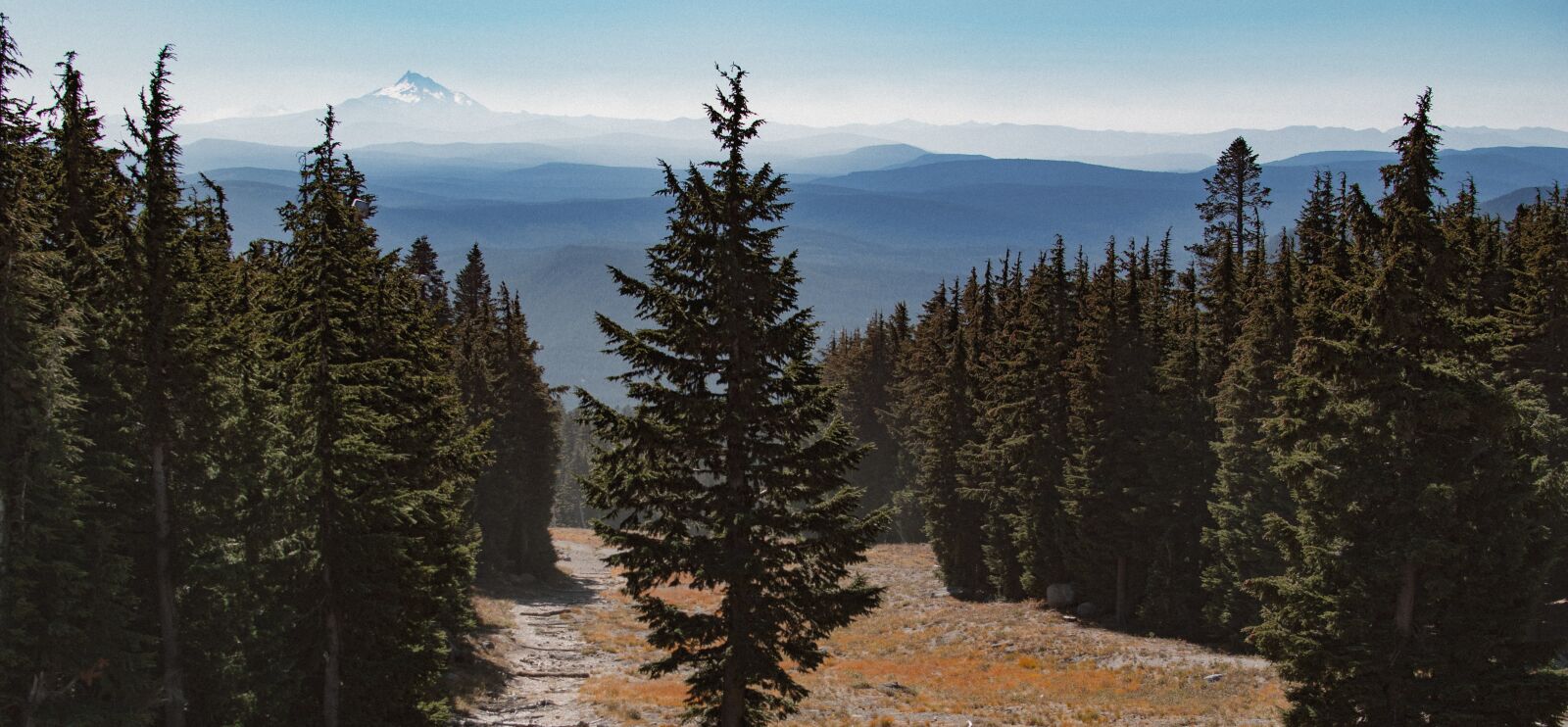 Nikon D3200 sample photo. Nature, mountain, pinetree photography