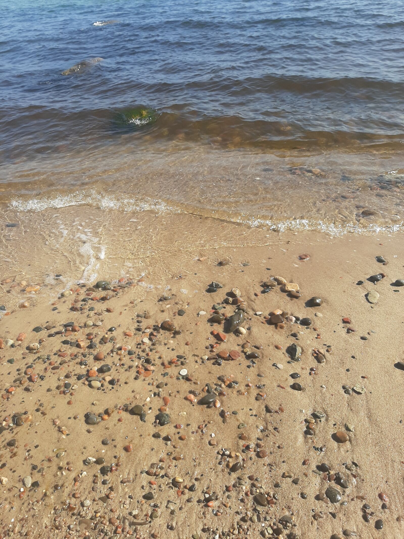 Samsung Galaxy A50 sample photo. Weekend, picnic, nature photography