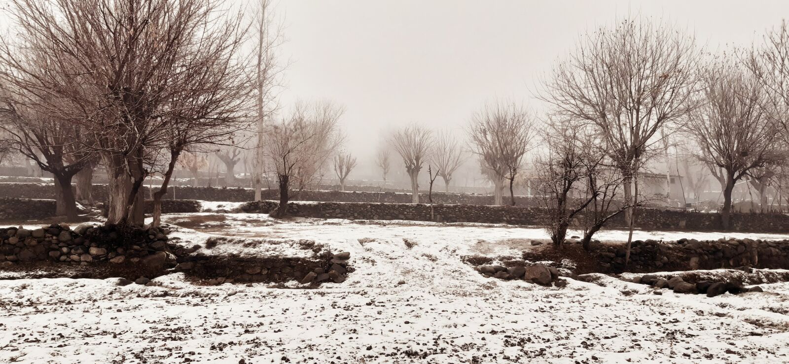 Samsung Galaxy A30 sample photo. Snow, snowfall, nature photography