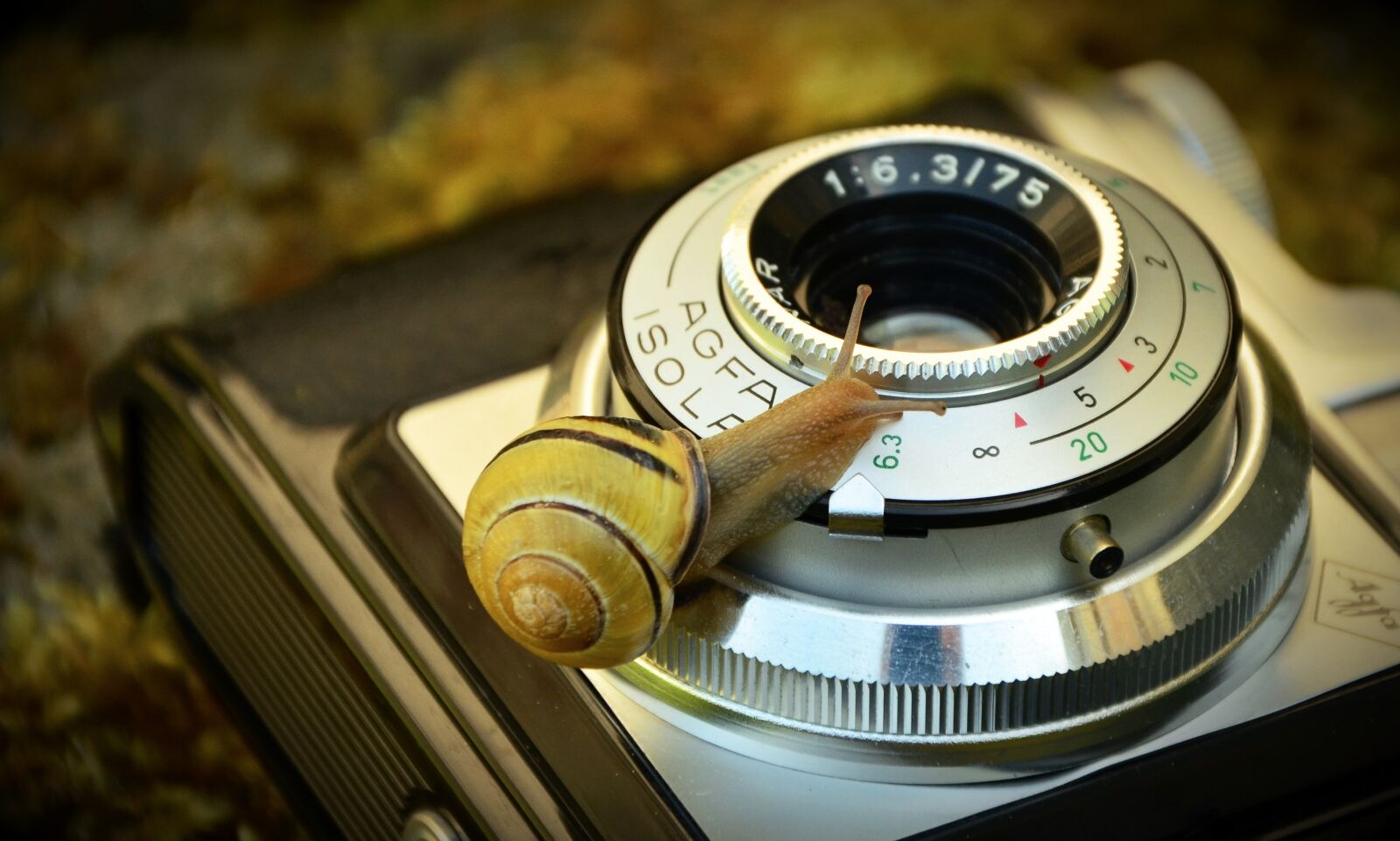 Nikon D5100 sample photo. Camera, old, antique photography