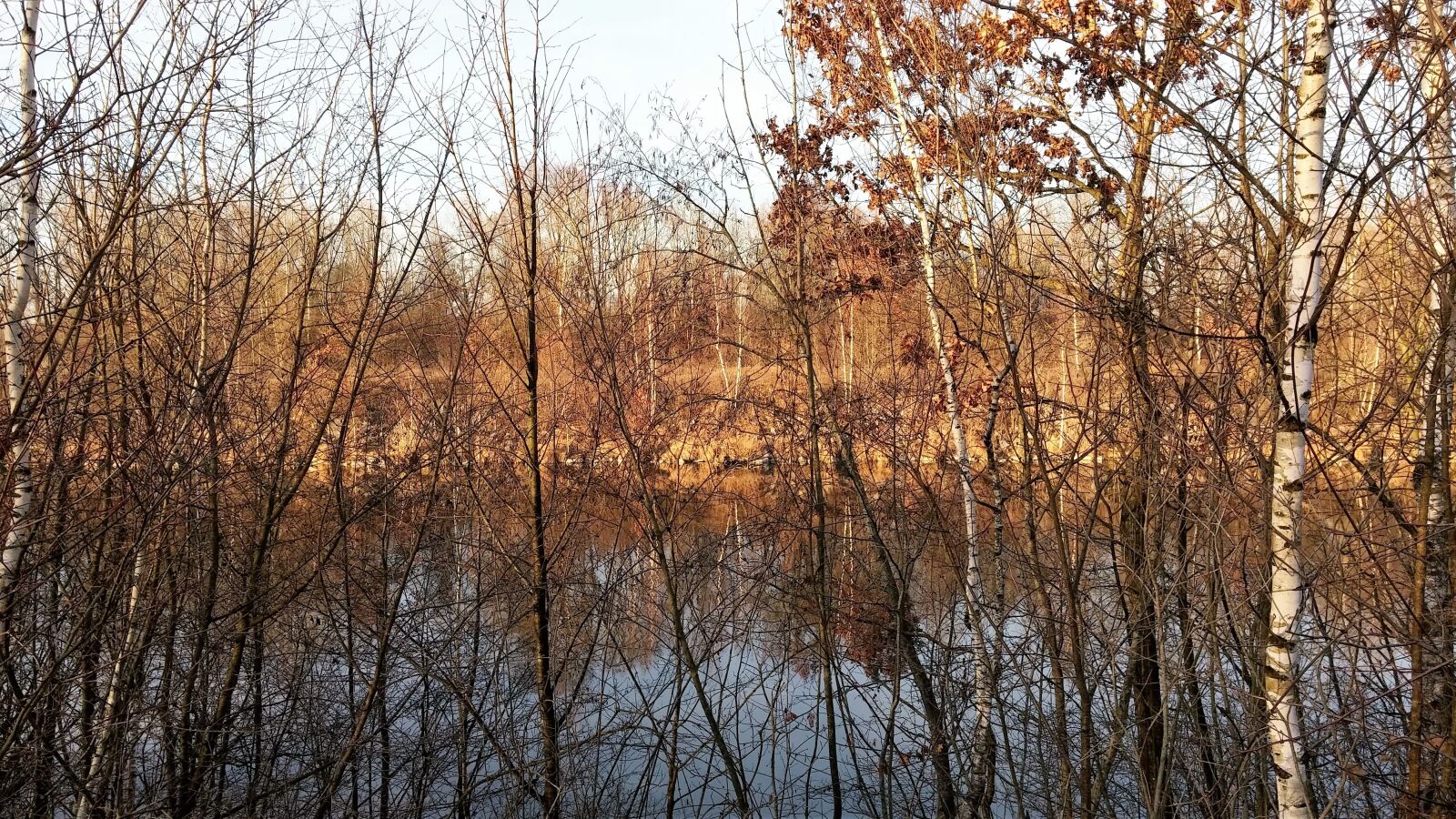 LG G3 sample photo. Water, trees, nature photography