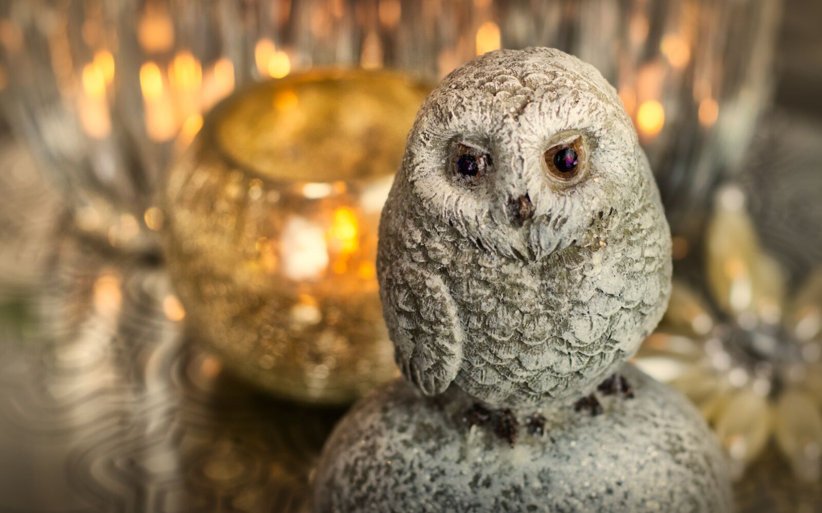 Canon EOS 200D (EOS Rebel SL2 / EOS Kiss X9) + Canon EF 50mm F1.8 STM sample photo. Snowy owl, christmas motif photography
