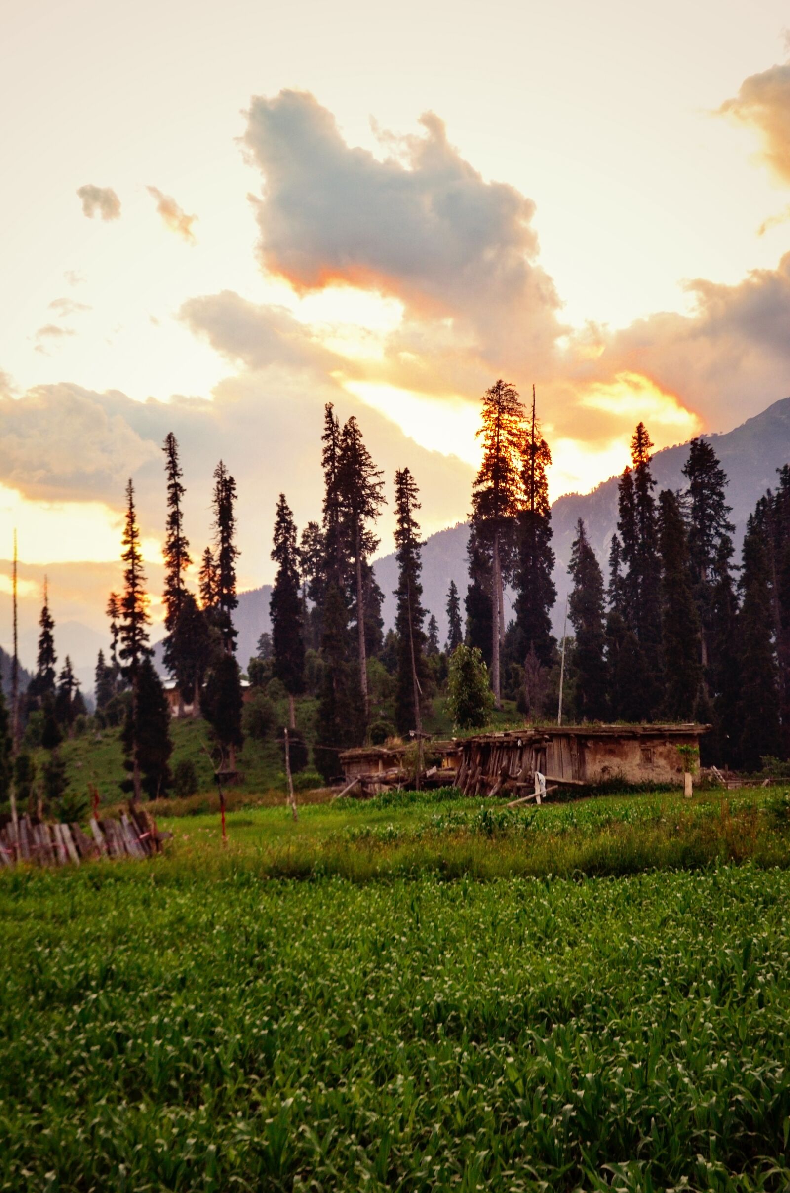 Nikon D5100 sample photo. Isolation, travel, luggage photography