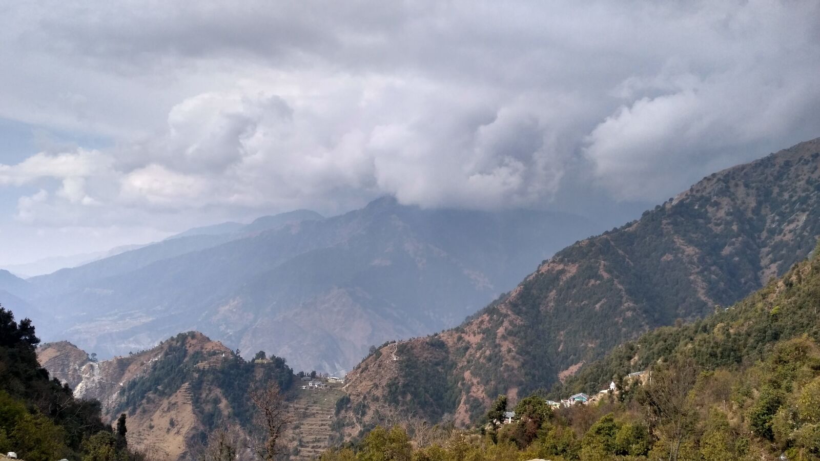 Xiaomi Redmi 3S sample photo. Forest, nature, mountains photography