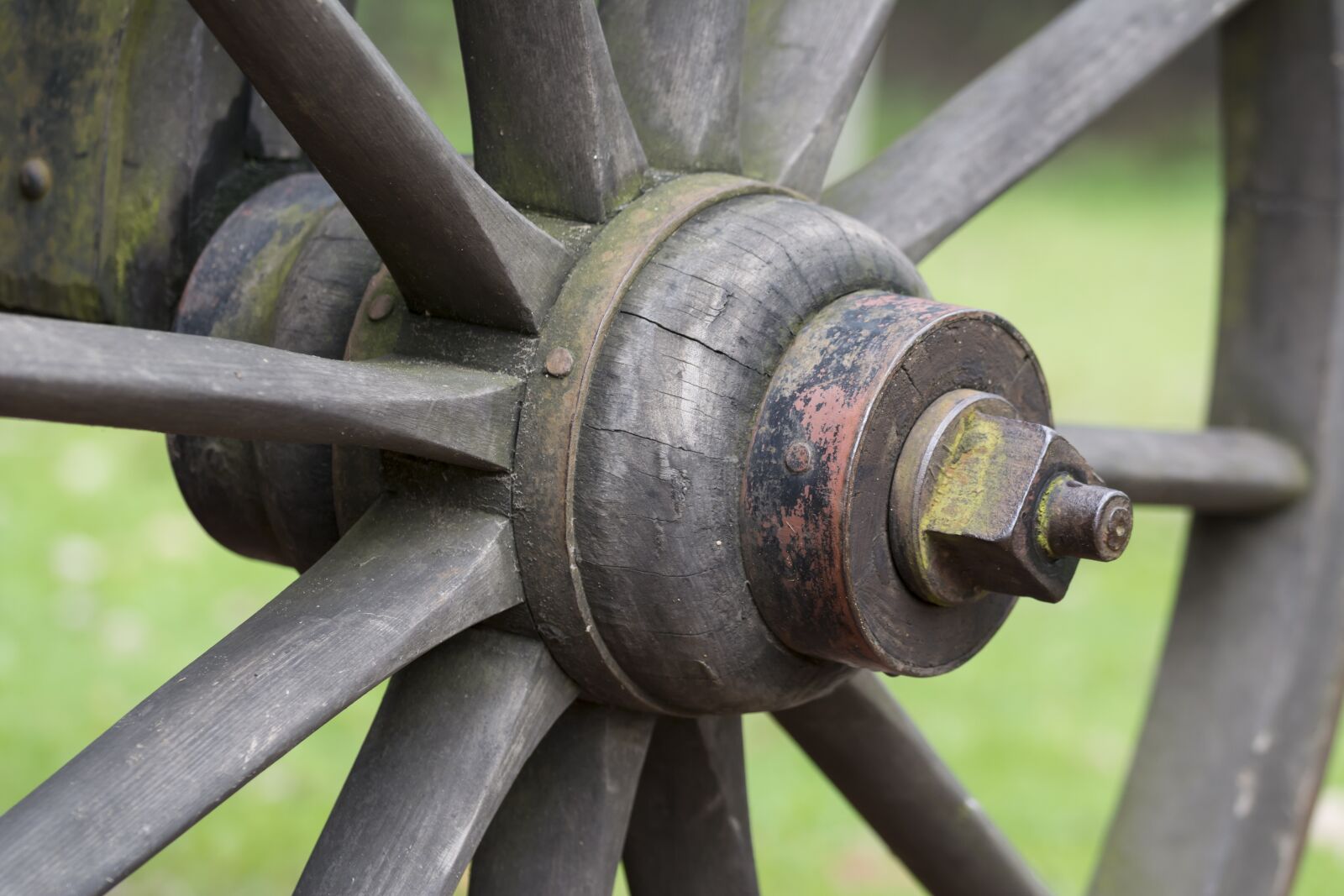 Nikon D5200 sample photo. Ash, wagon wheel, karrenwiel photography