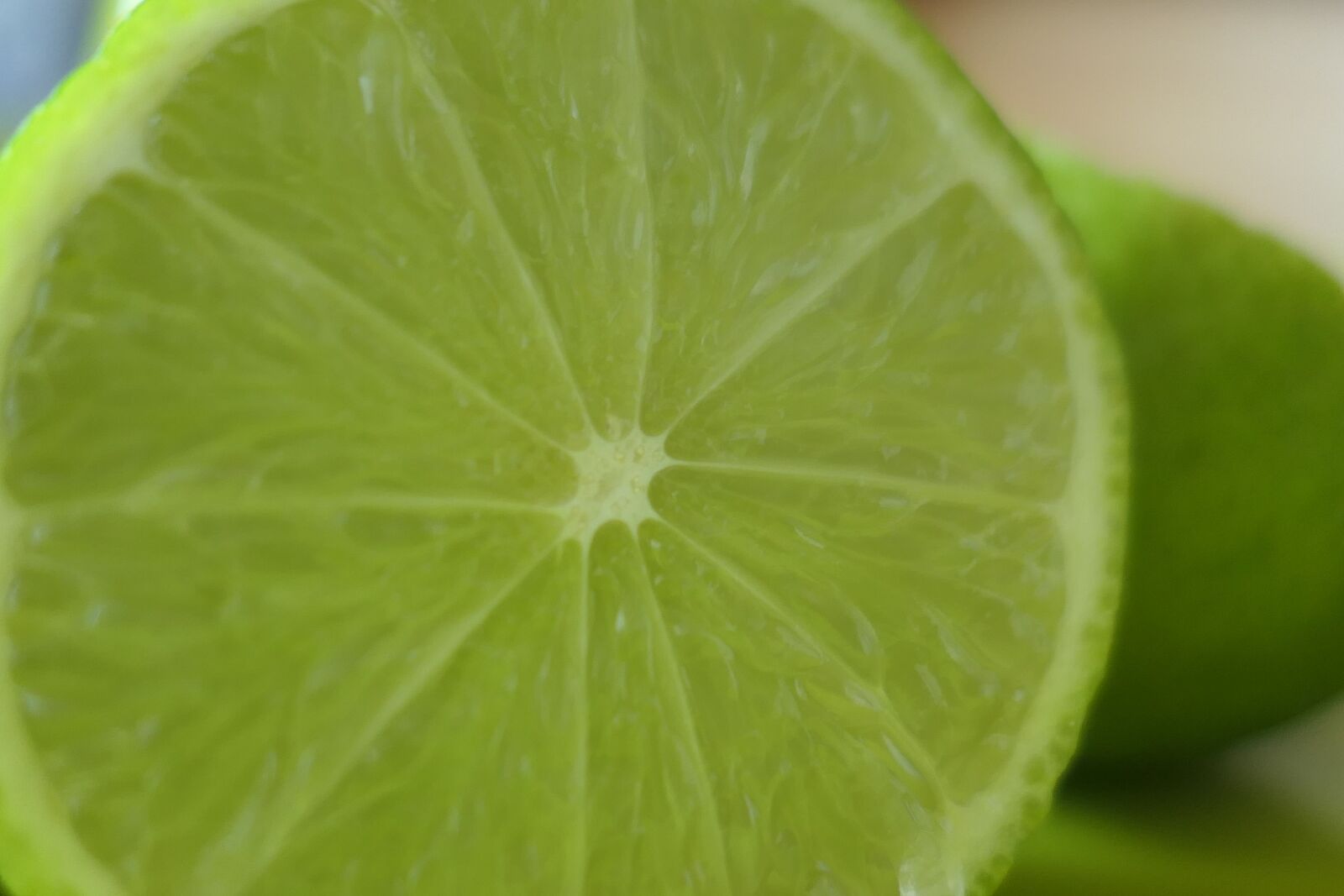 Panasonic Lumix DMC-LX10 (Lumix DMC-LX15) sample photo. Vitamins, lemons, citrus fruit photography