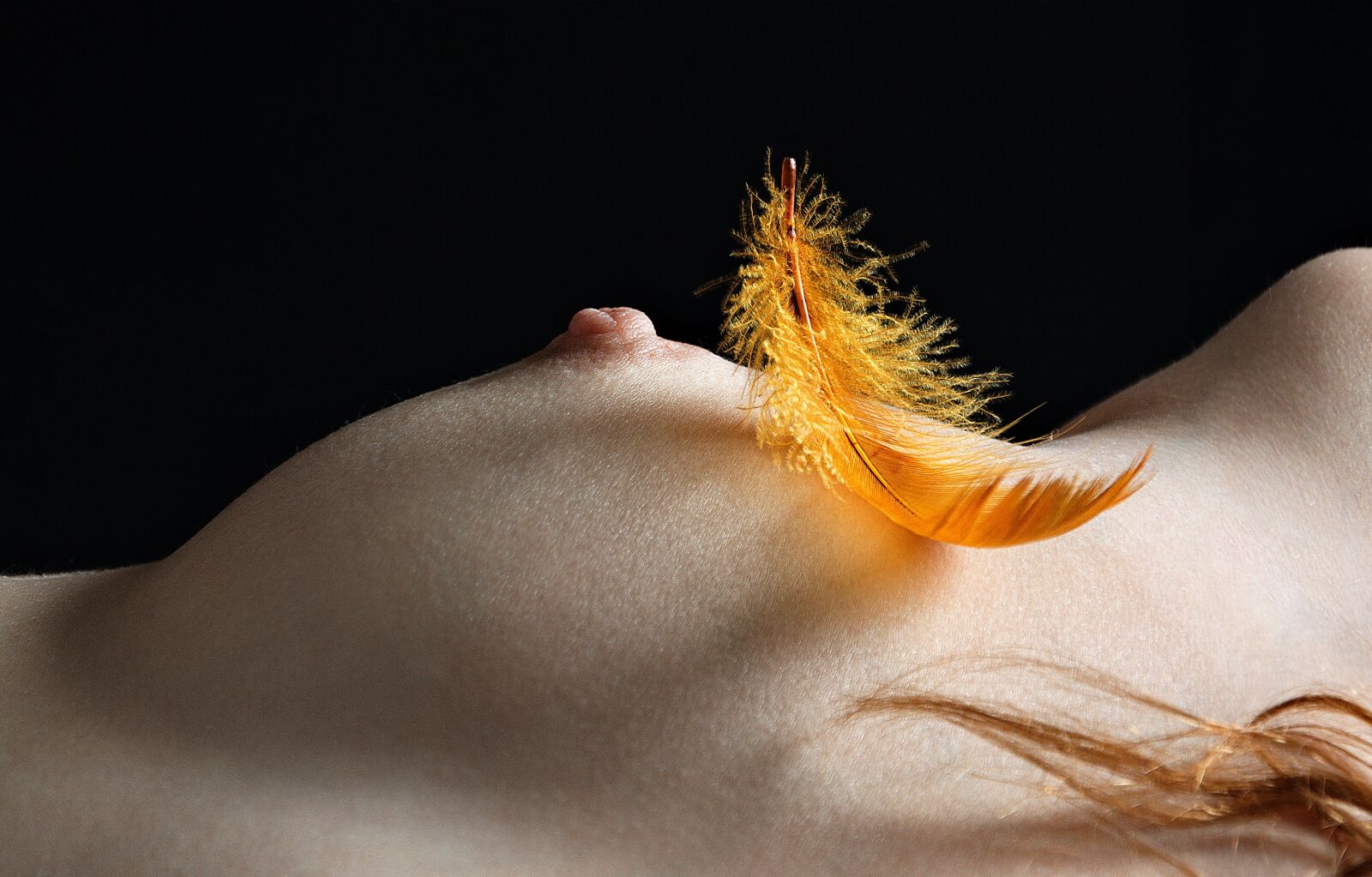 Nikon D90 sample photo. Breast, a feather, closeup photography