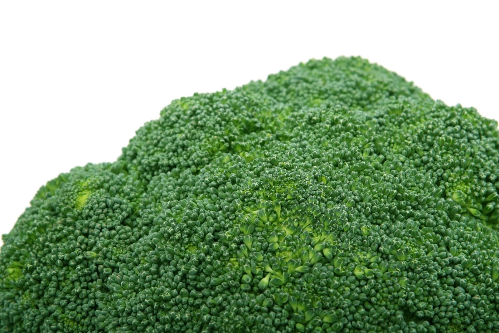 Canon EOS 30D sample photo. Appetite, broccoli, brocoli broccolli photography