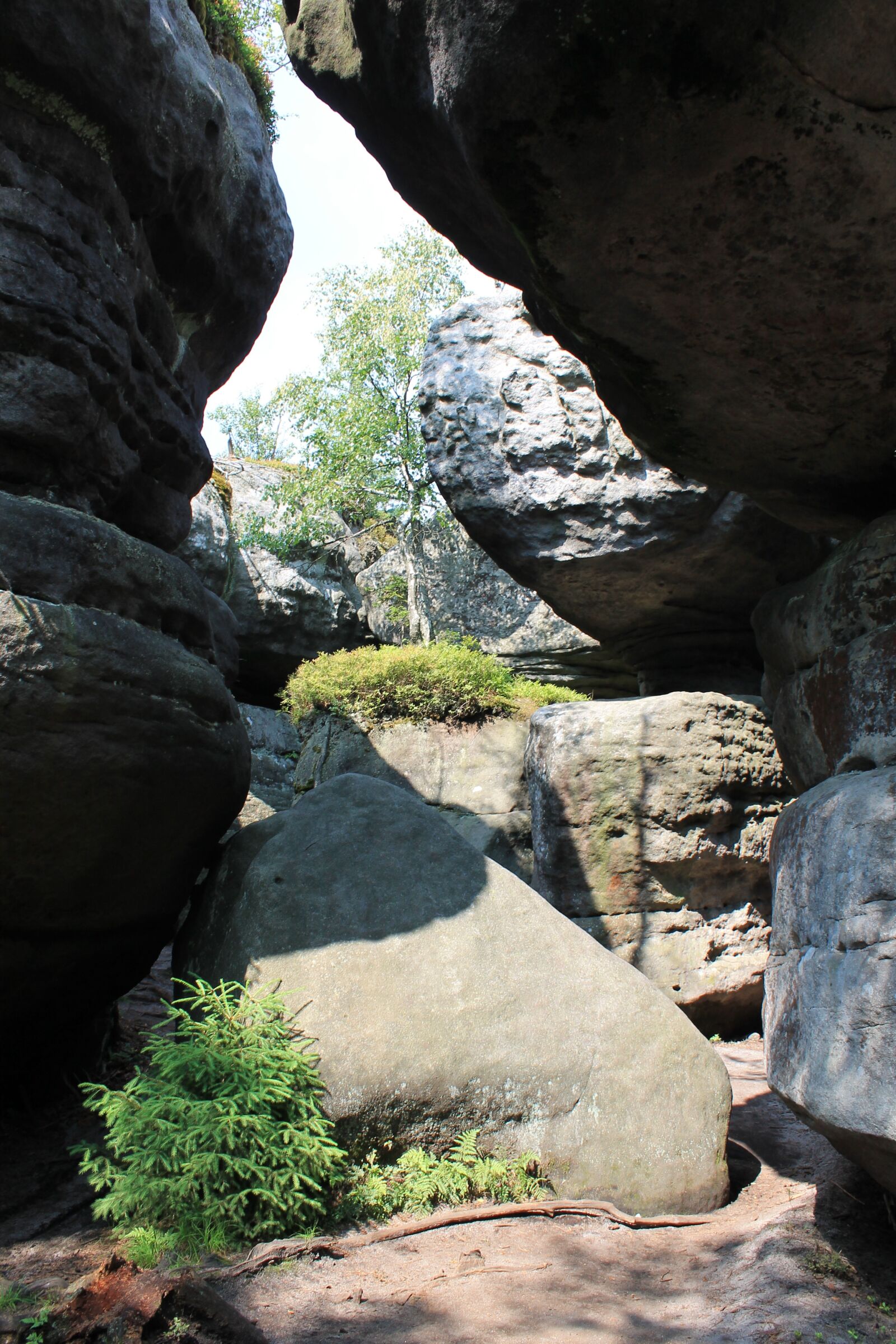 Canon EOS 1100D (EOS Rebel T3 / EOS Kiss X50) sample photo. Erratic rocks, kudowa zdr photography