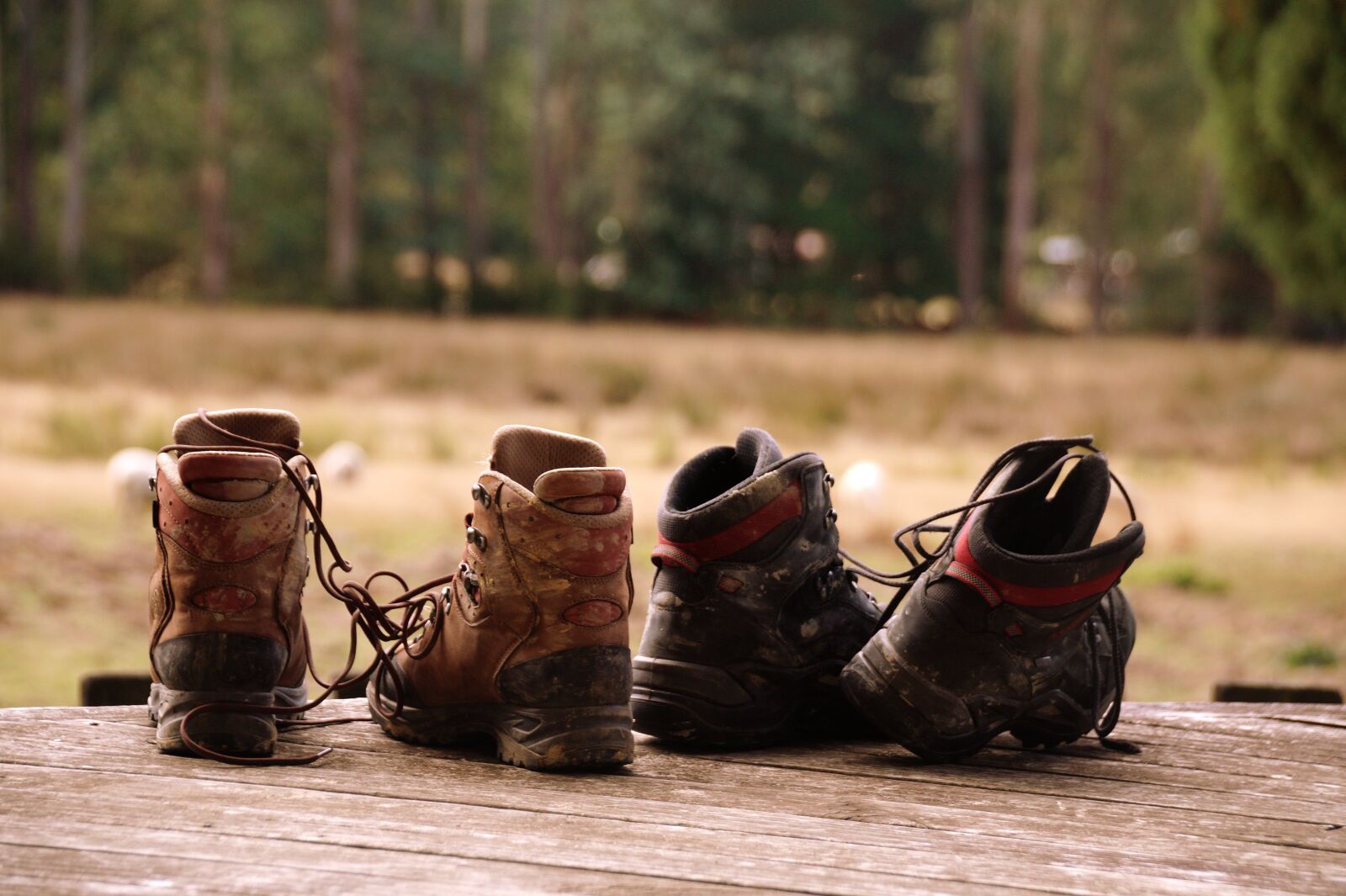 Sony SLT-A58 sample photo. Hiking, freedom, leisure photography