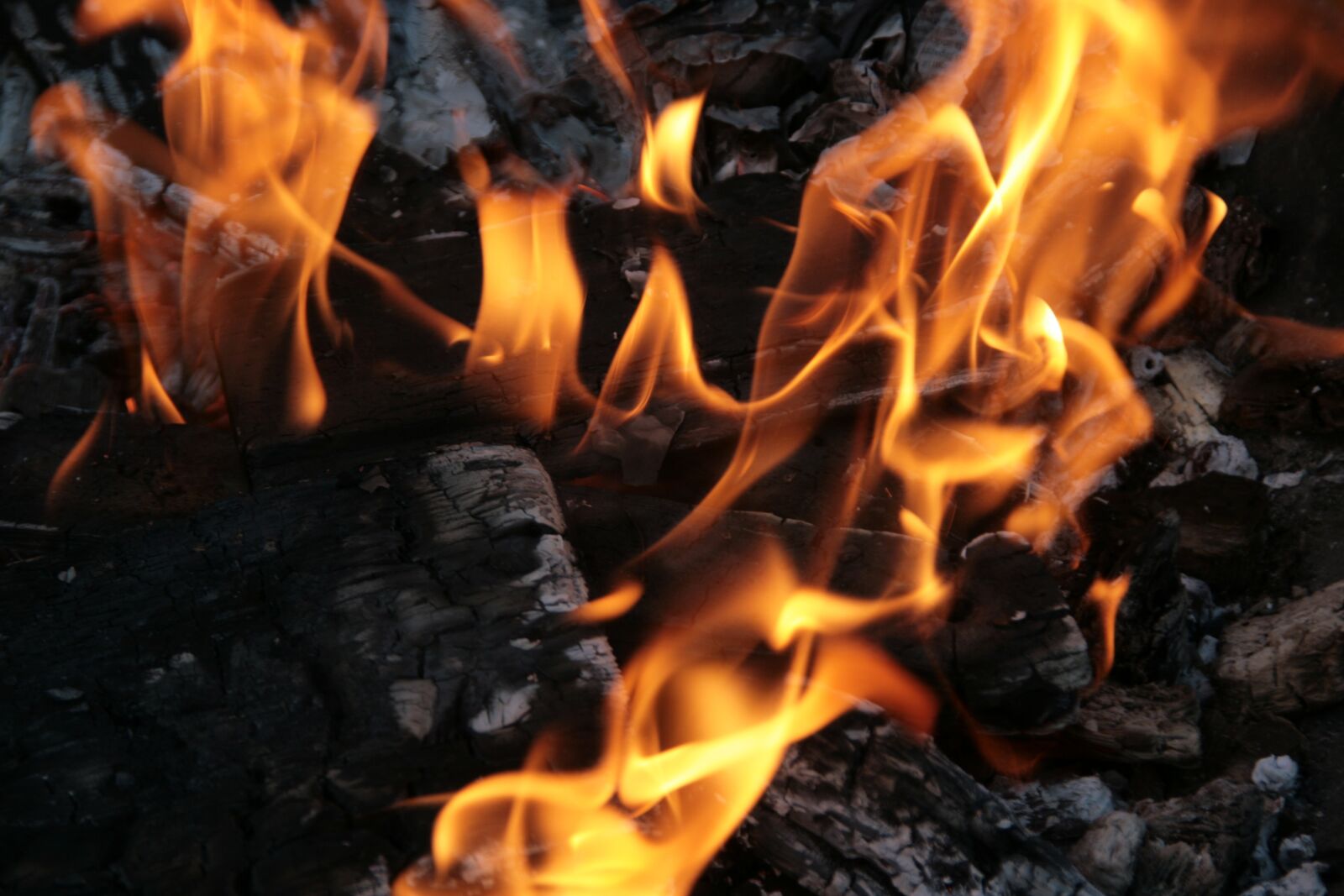 Canon EOS 400D (EOS Digital Rebel XTi / EOS Kiss Digital X) sample photo. Fire, combustion, burn photography
