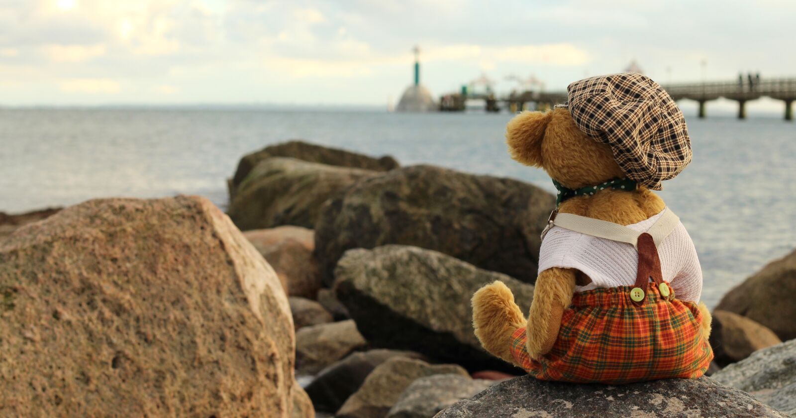 Canon EOS 700D (EOS Rebel T5i / EOS Kiss X7i) + Canon EF 50mm F1.8 II sample photo. Teddy, teddy bear, soft photography