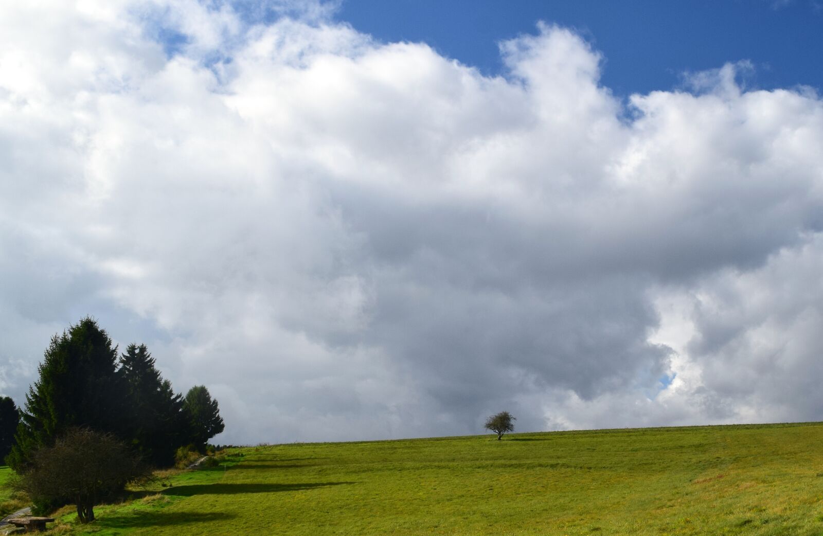 Nikon D5300 sample photo. Panorama, clouds, nature photography