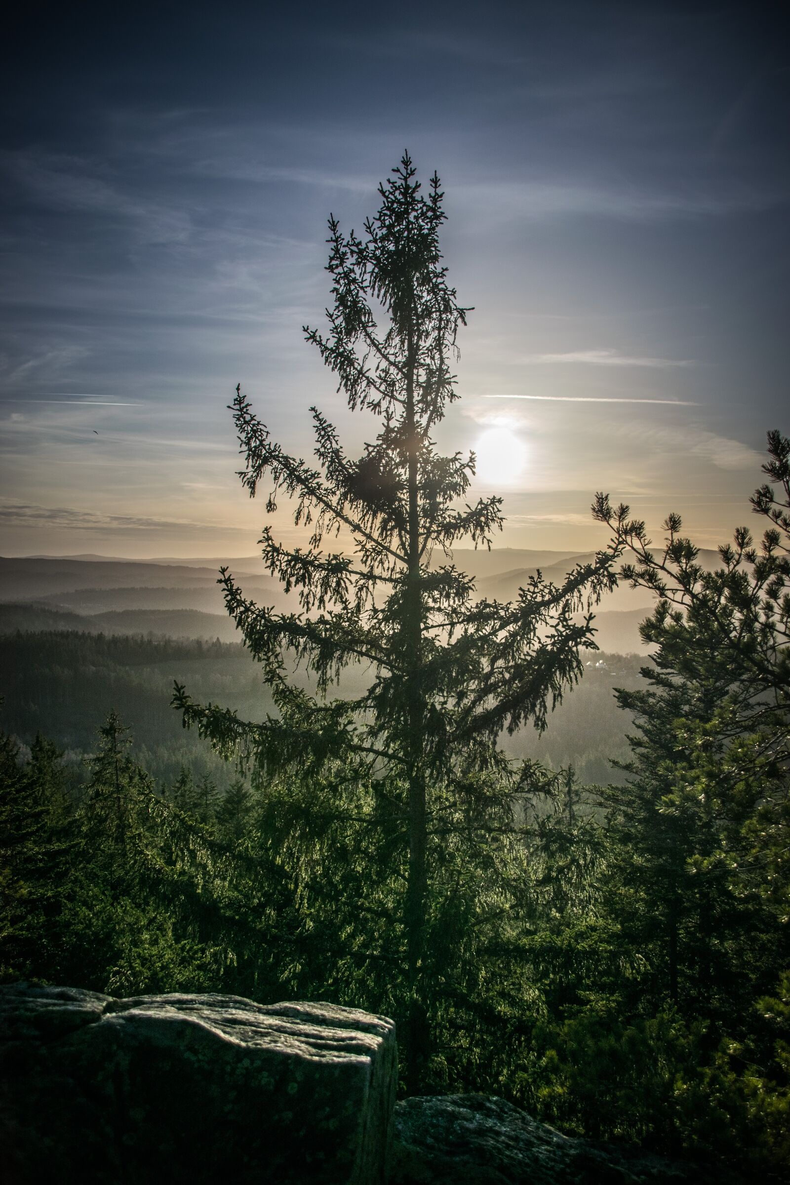 Nikon D5300 sample photo. Tree, landscape, mountains photography