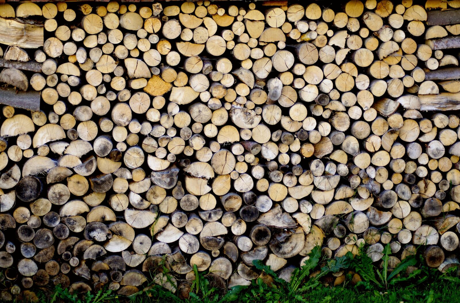 Sony SLT-A58 sample photo. Firewood, structure, texture photography