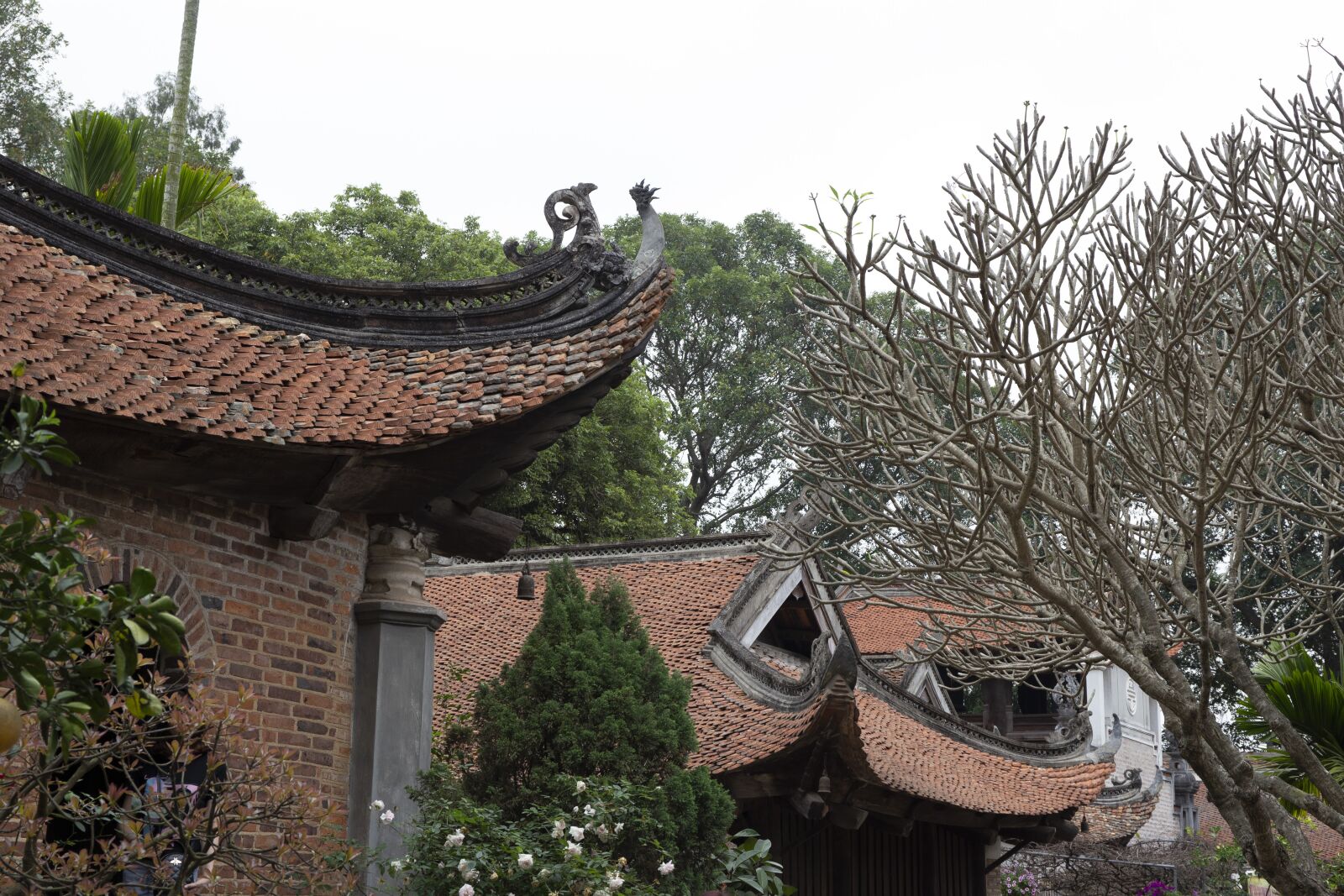 Canon EF 24-70mm F4L IS USM sample photo. Pagoda, temple, neck photography