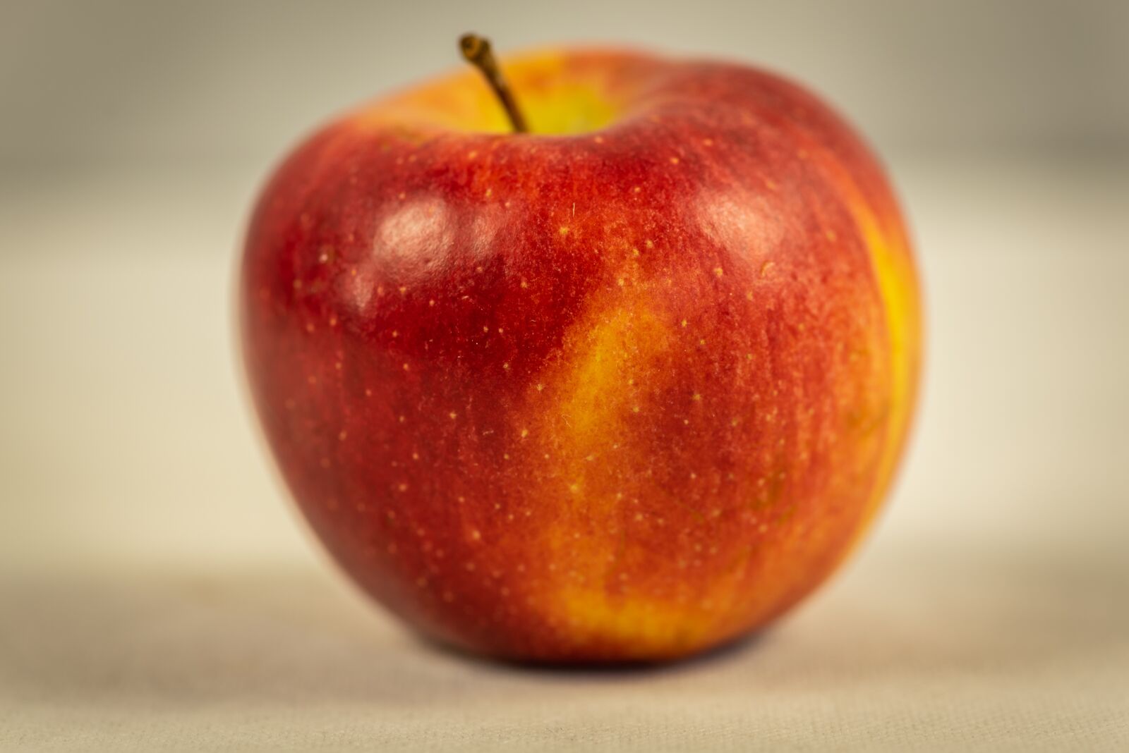 Nikon D750 sample photo. Apple, fruit, braeburn photography
