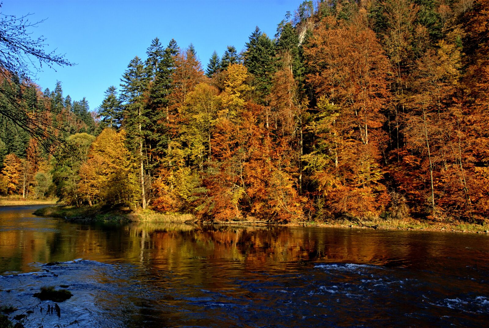 Nikon D80 sample photo. Pieniny, dunajec, autumn leaves photography