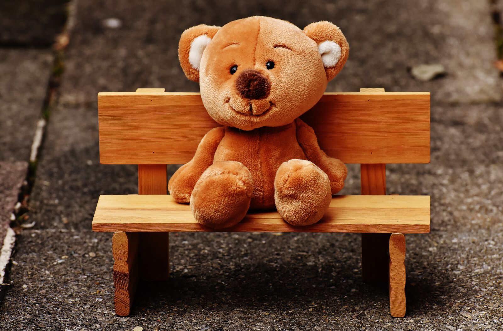 Nikon D7200 sample photo. Teddy, bank, sit photography