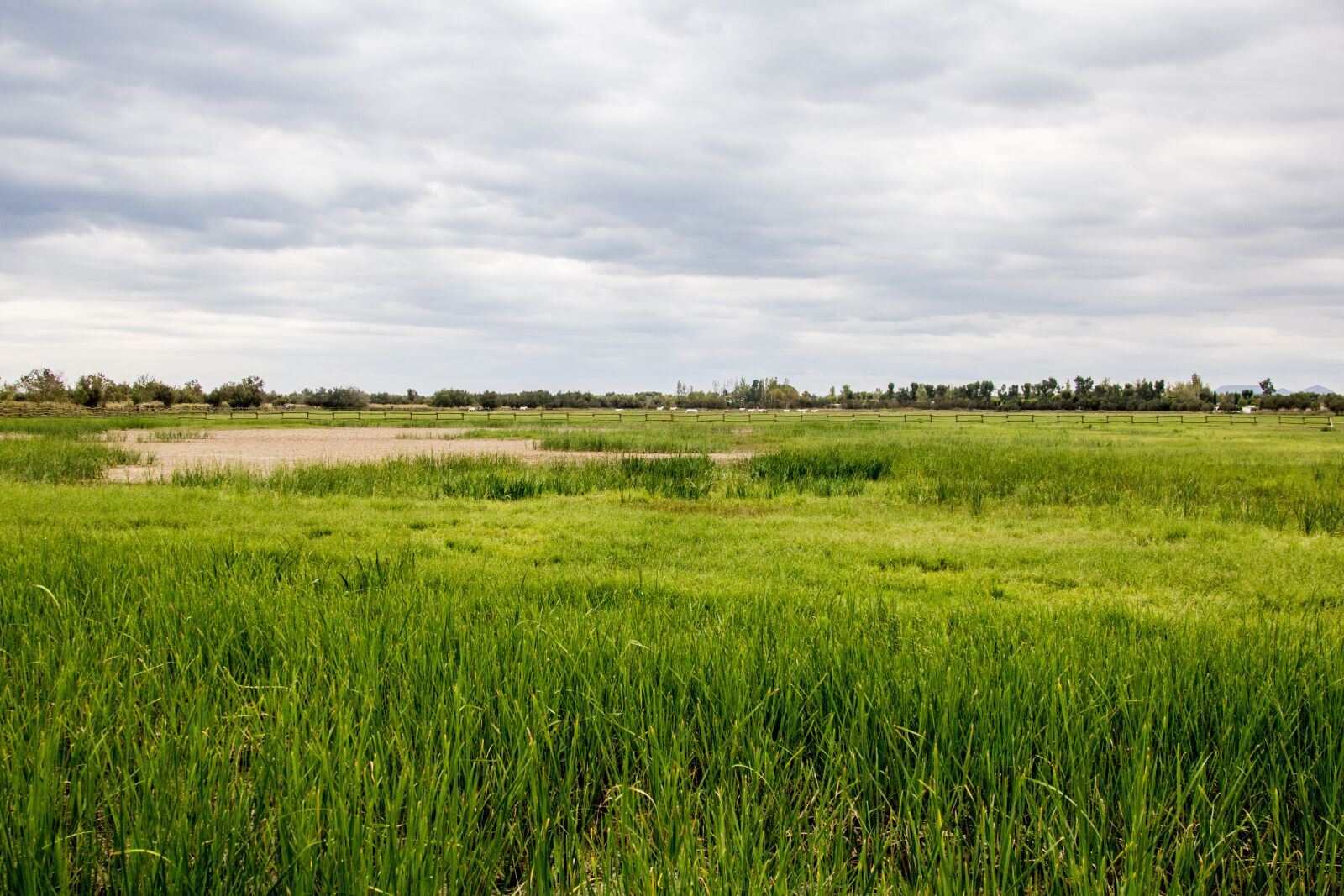 Canon EOS 60D + Canon EF 24-105mm F4L IS USM sample photo. Landscape, natural park, park photography
