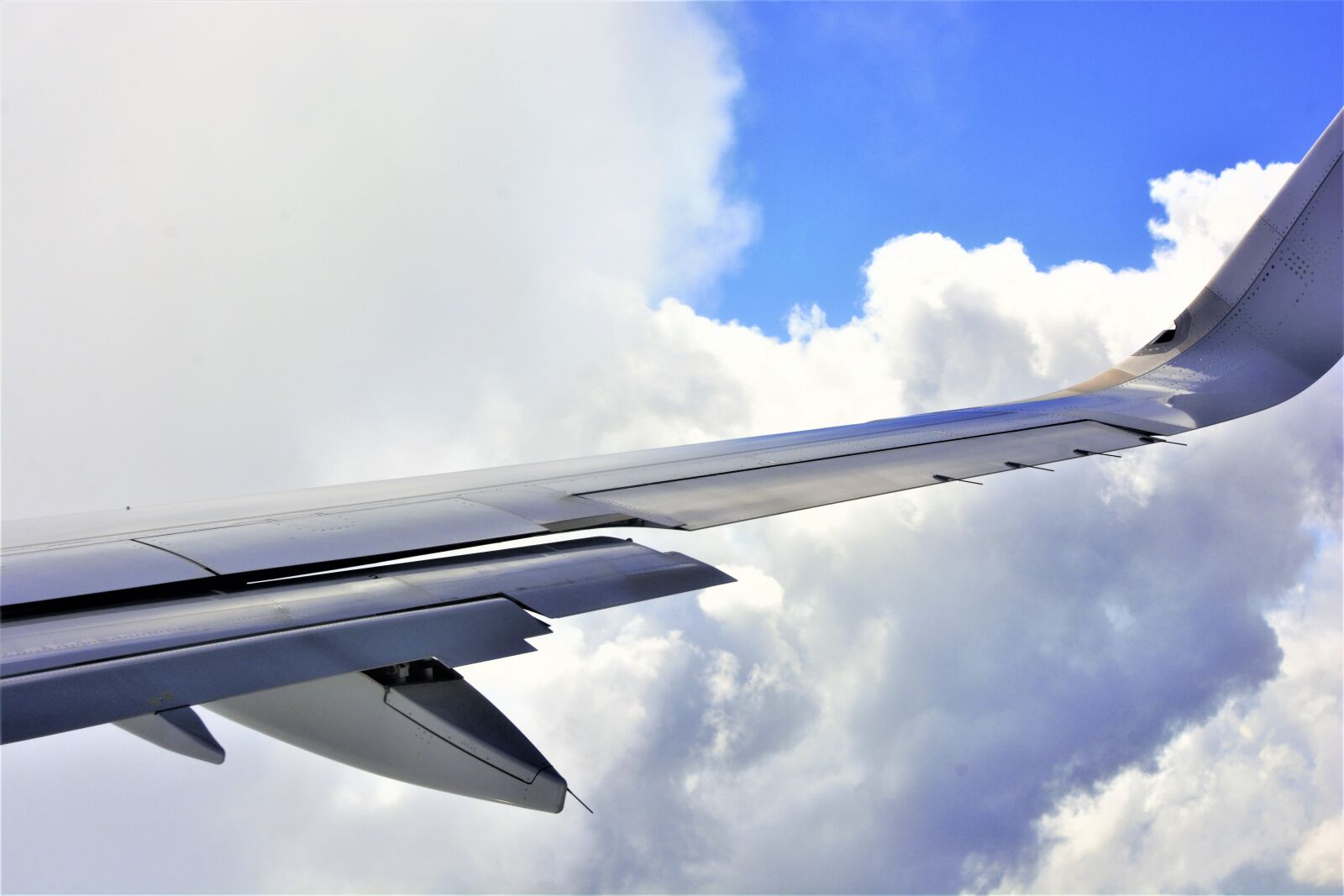 Nikon D7100 sample photo. Airplane wing, blue, sky photography