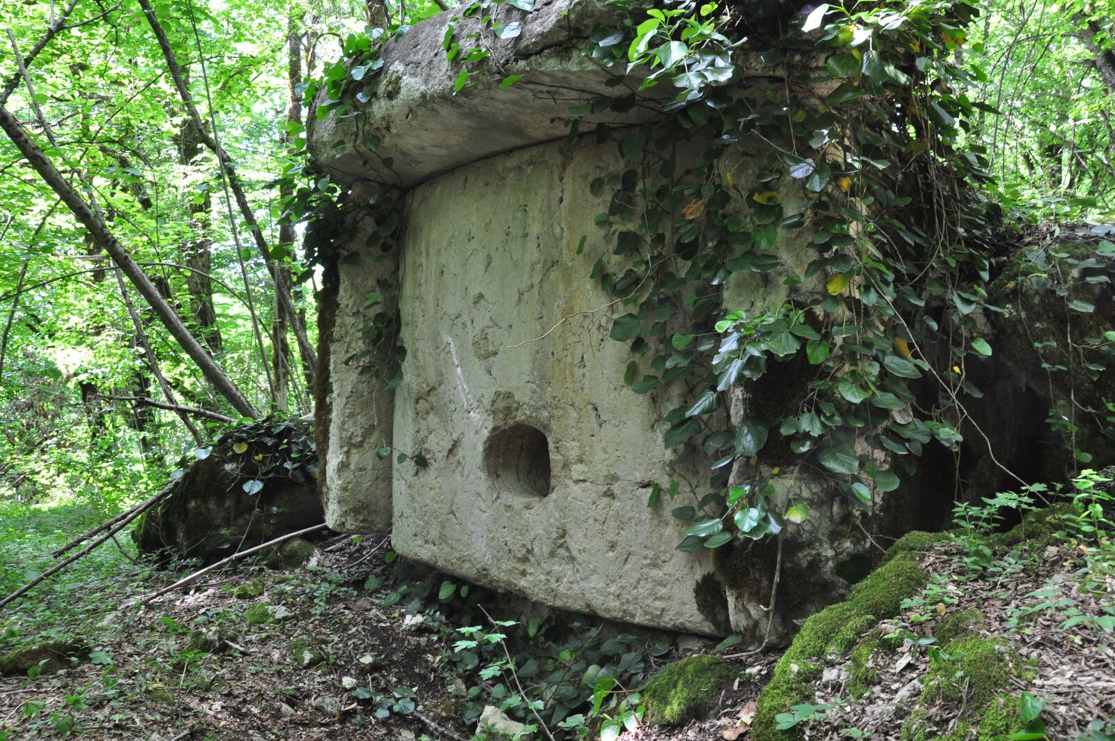 Nikon D90 sample photo. дольмен, лес, туризм photography
