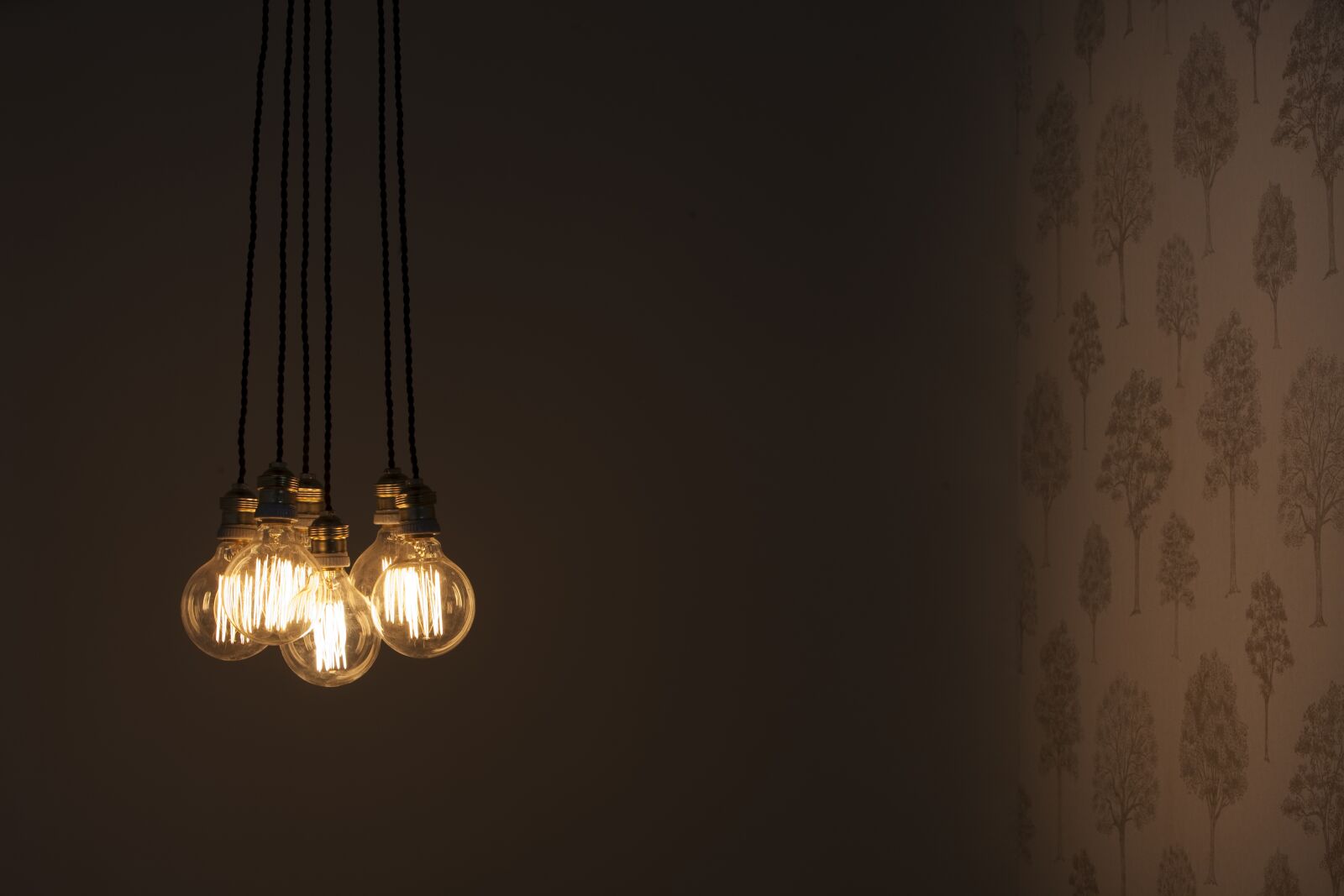 Canon EOS 5D Mark II sample photo. Decoration, light bulbs, night photography