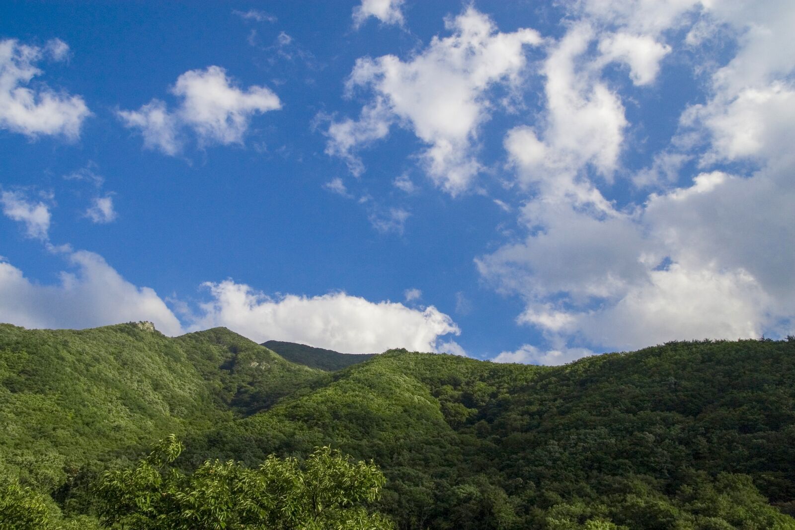 Canon EOS 30D sample photo. Secret sunshine, milyang, sky photography