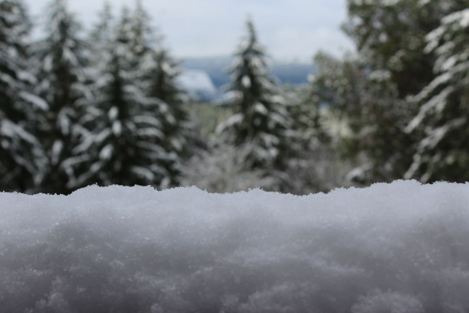 Canon EOS 1200D (EOS Rebel T5 / EOS Kiss X70 / EOS Hi) sample photo. Porch, rail, snow, winter photography