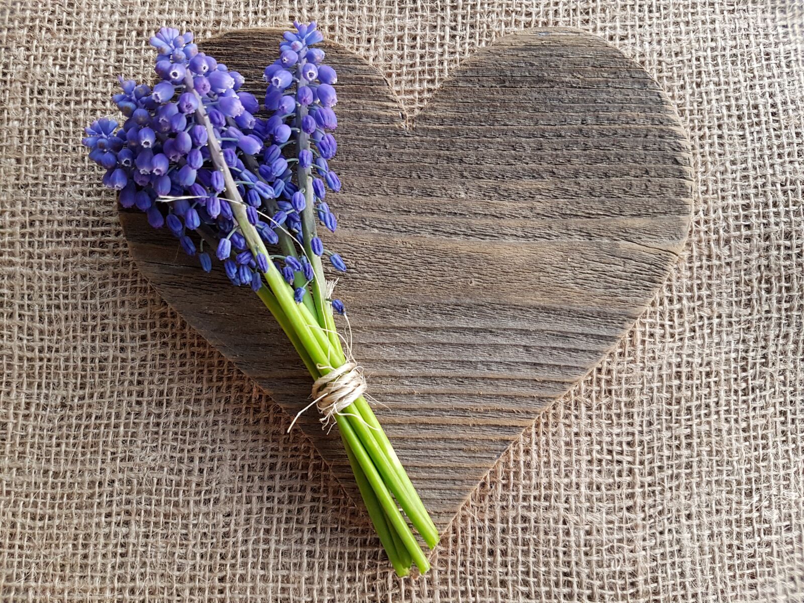 Samsung Galaxy S7 sample photo. Heart, love, spring photography