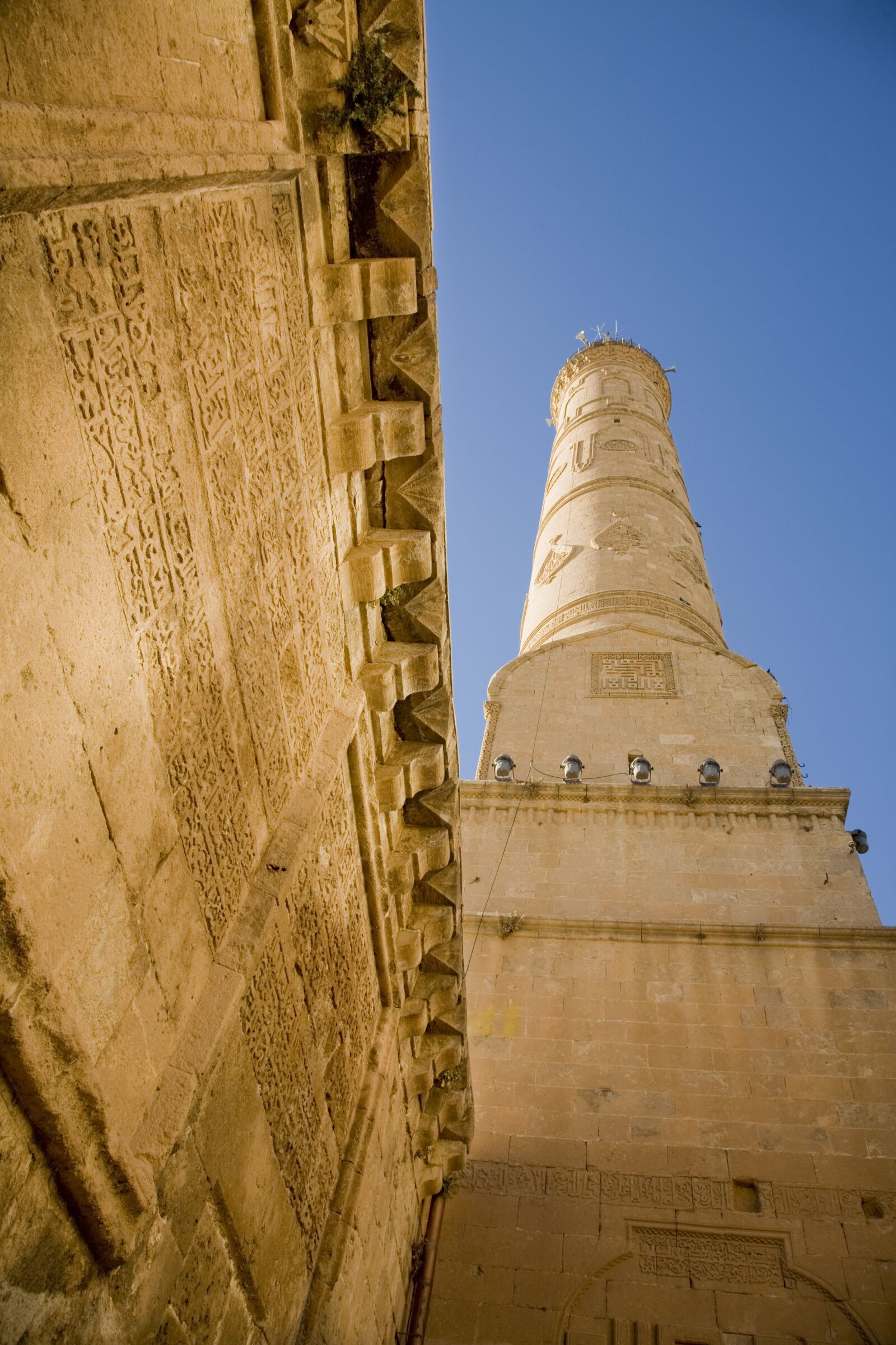 Canon EOS 5D sample photo. Cami, on, turkey photography