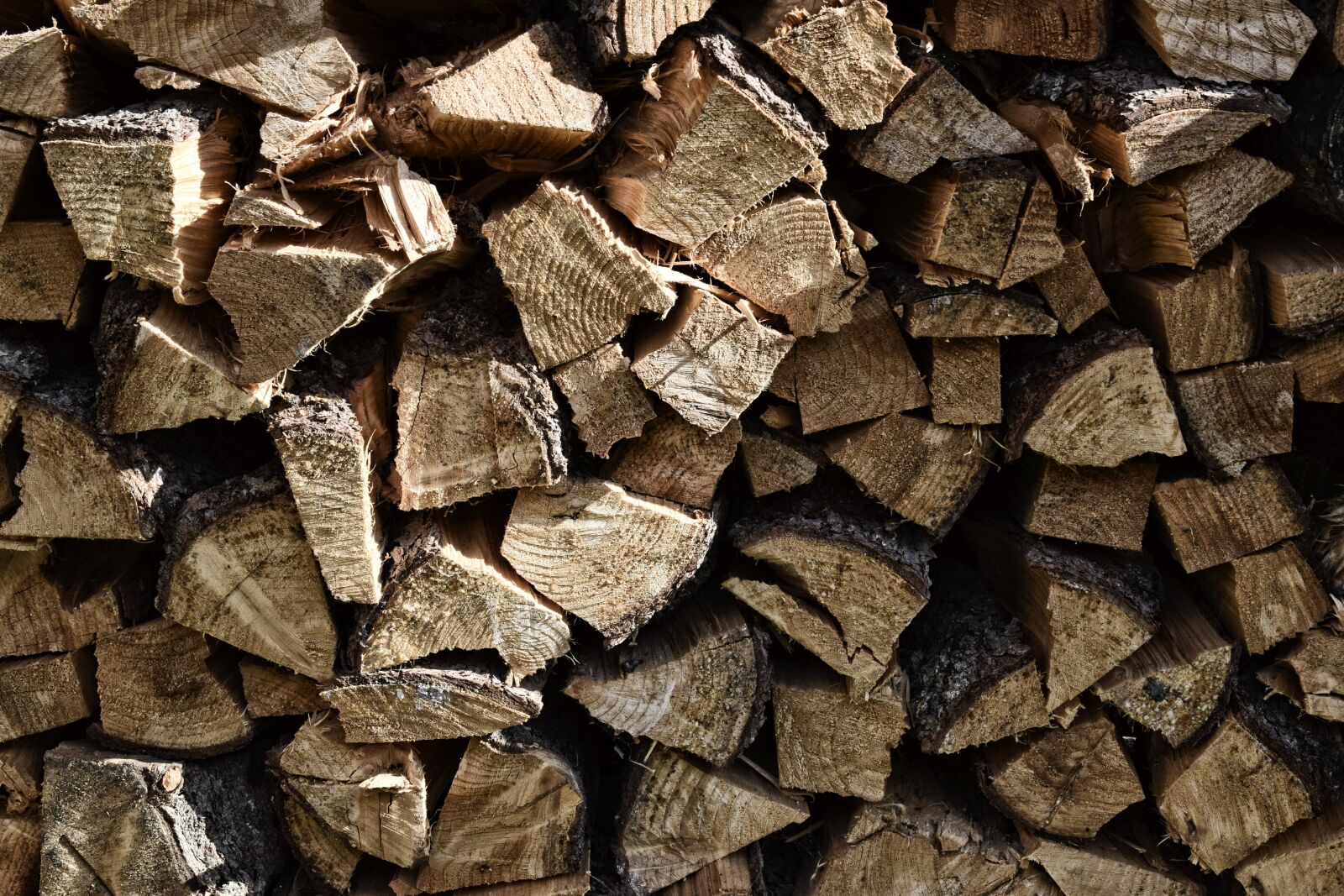Nikon D3300 sample photo. Wood, firewood, fire photography