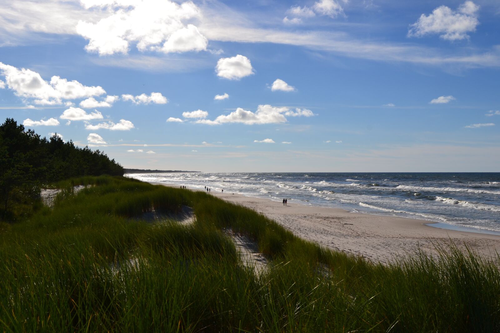 Nikon D3100 sample photo. Sea, beach, water photography