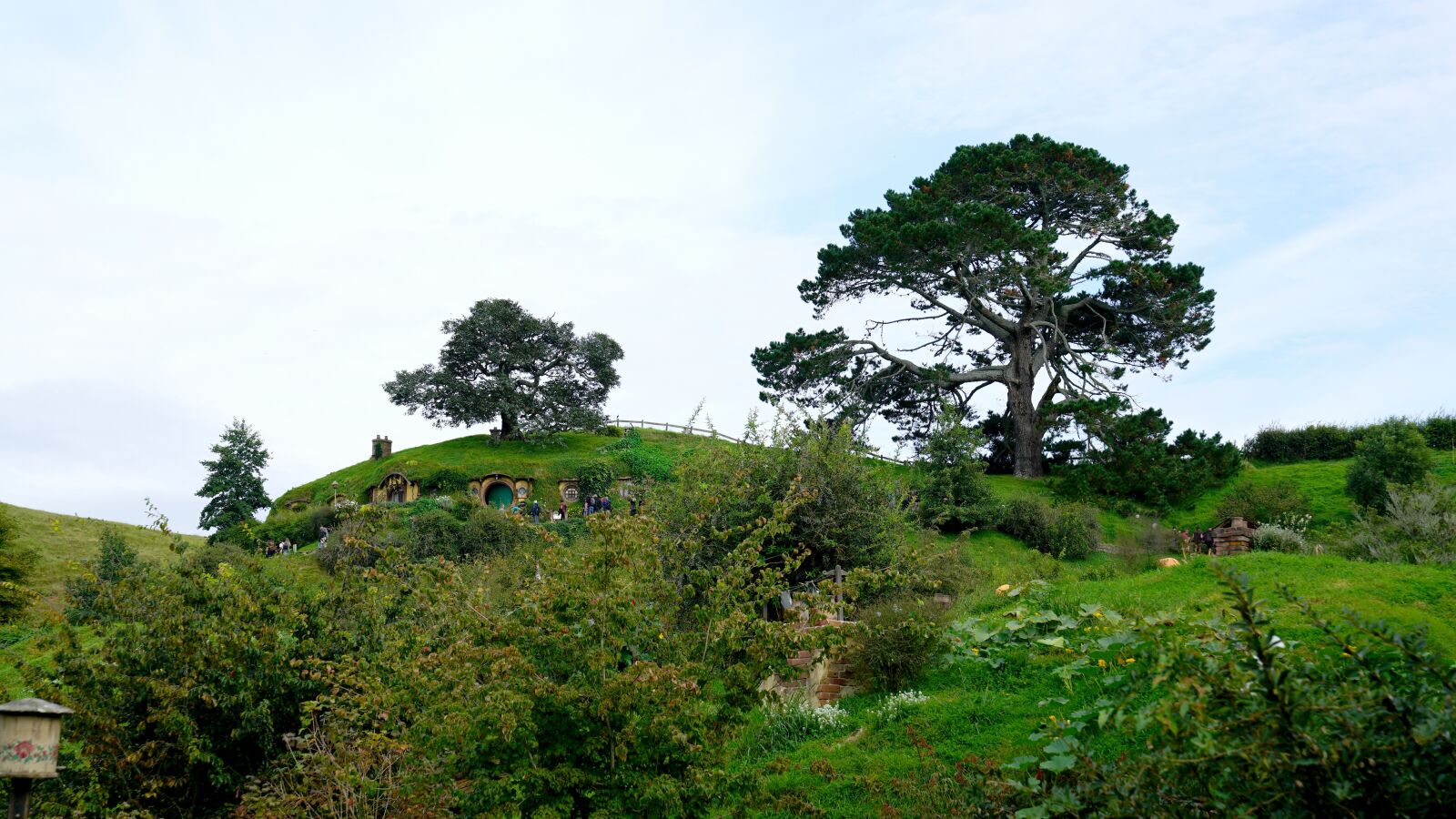 Sony FE 24-70mm F2.8 GM sample photo. Hobbiton, the lord of photography